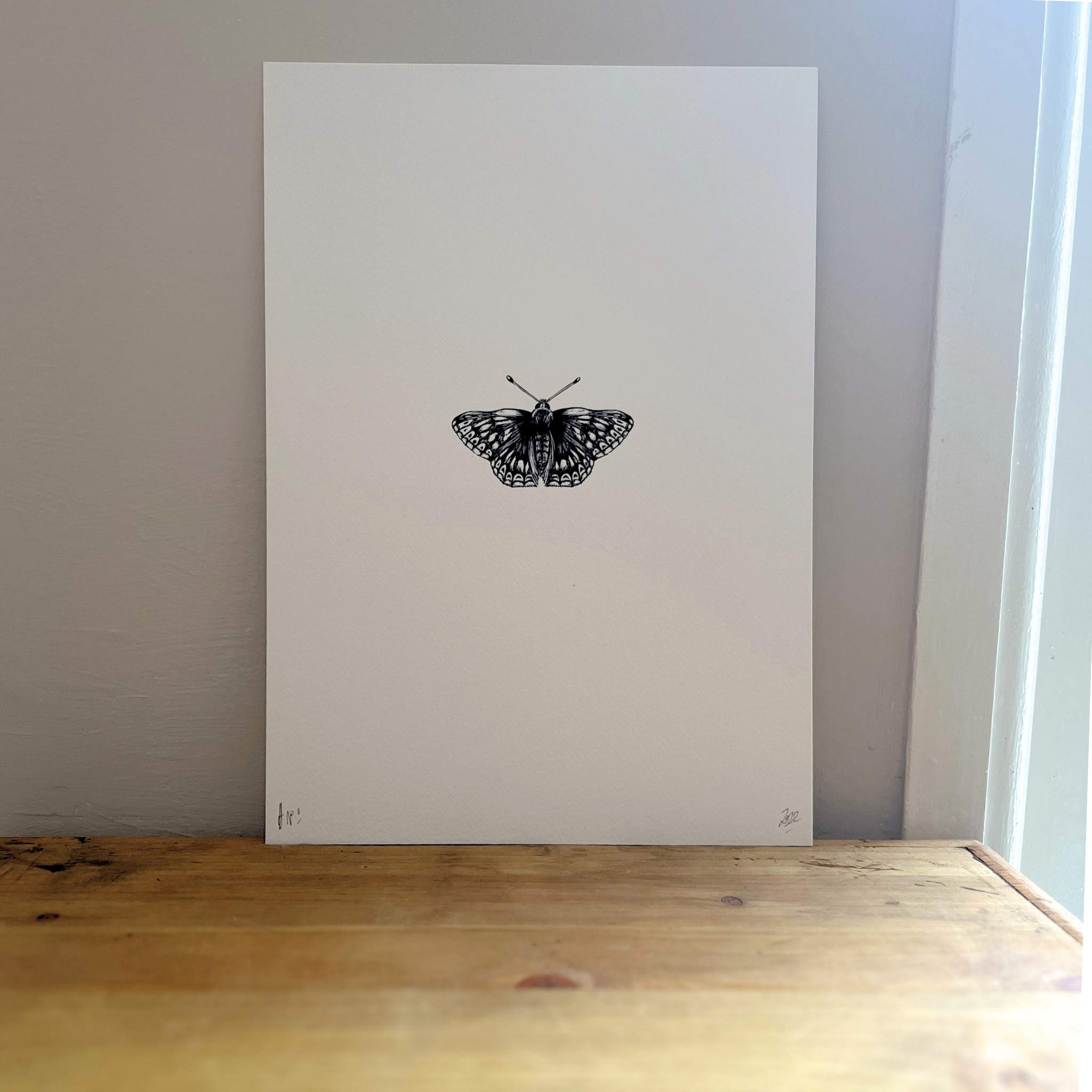 Butterfly illustration on a white wall with a wooden surface below