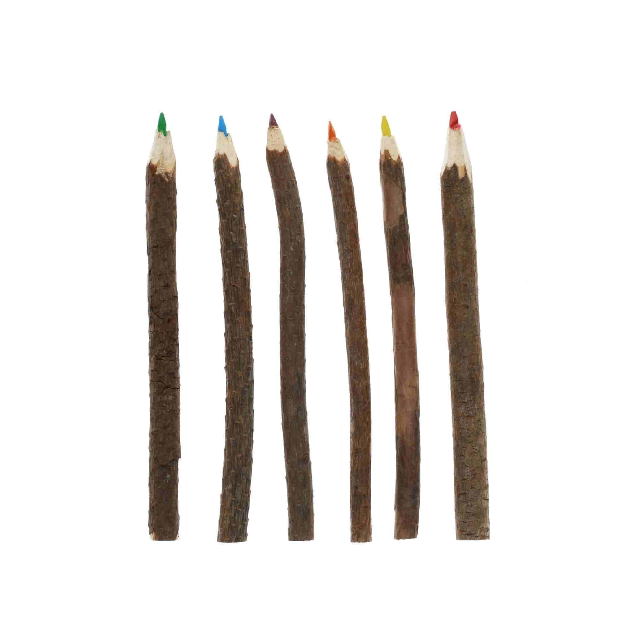 Coloured Twig Pencils | Set of 6
