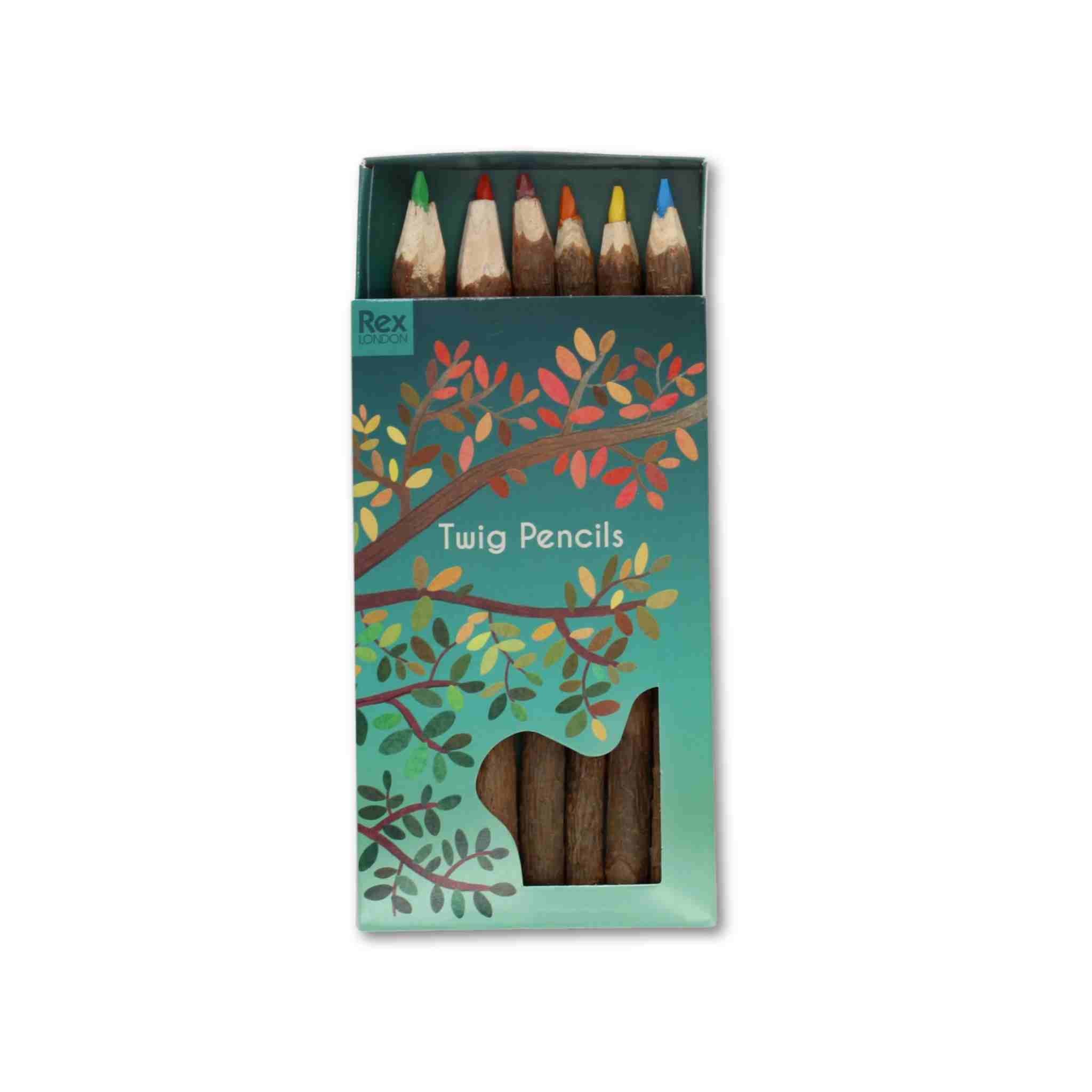 Coloured Twig Pencils | Set of 6