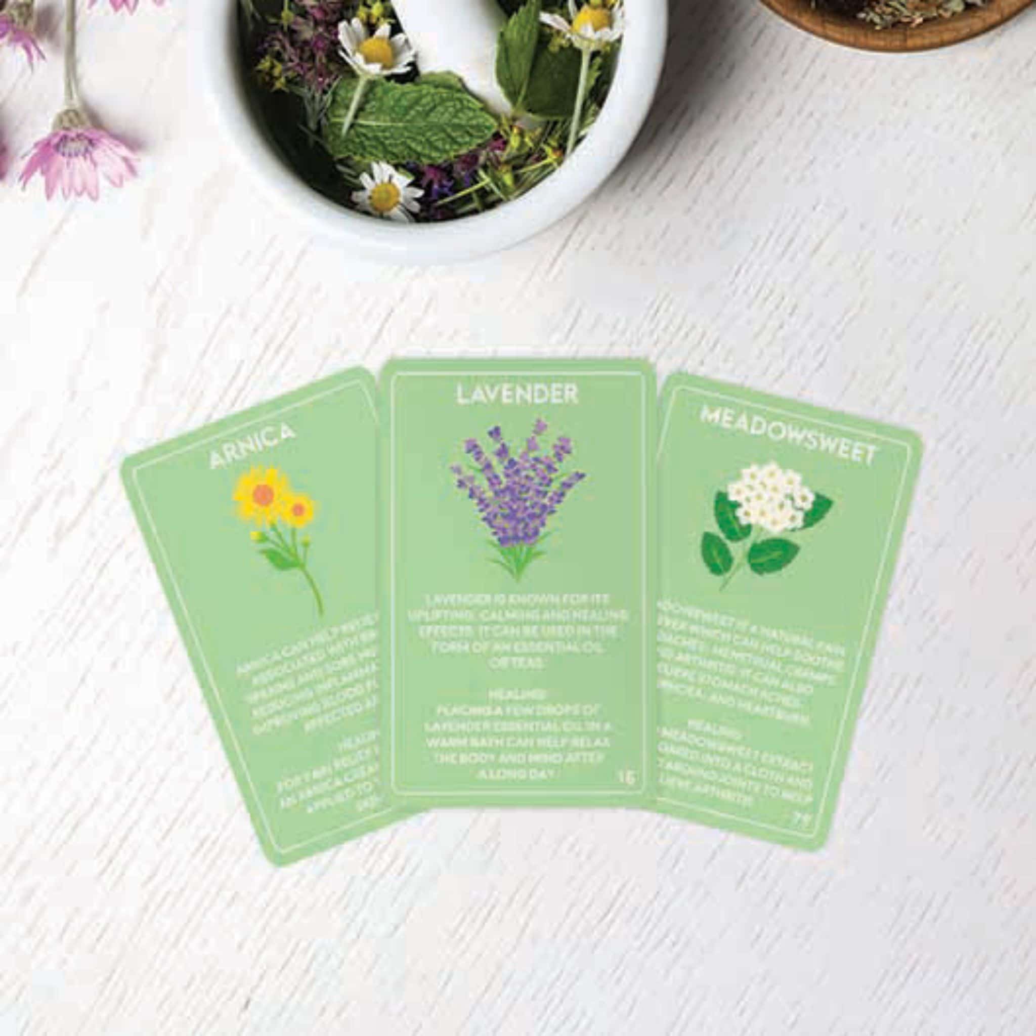 Healing Herbs | Learning Cards