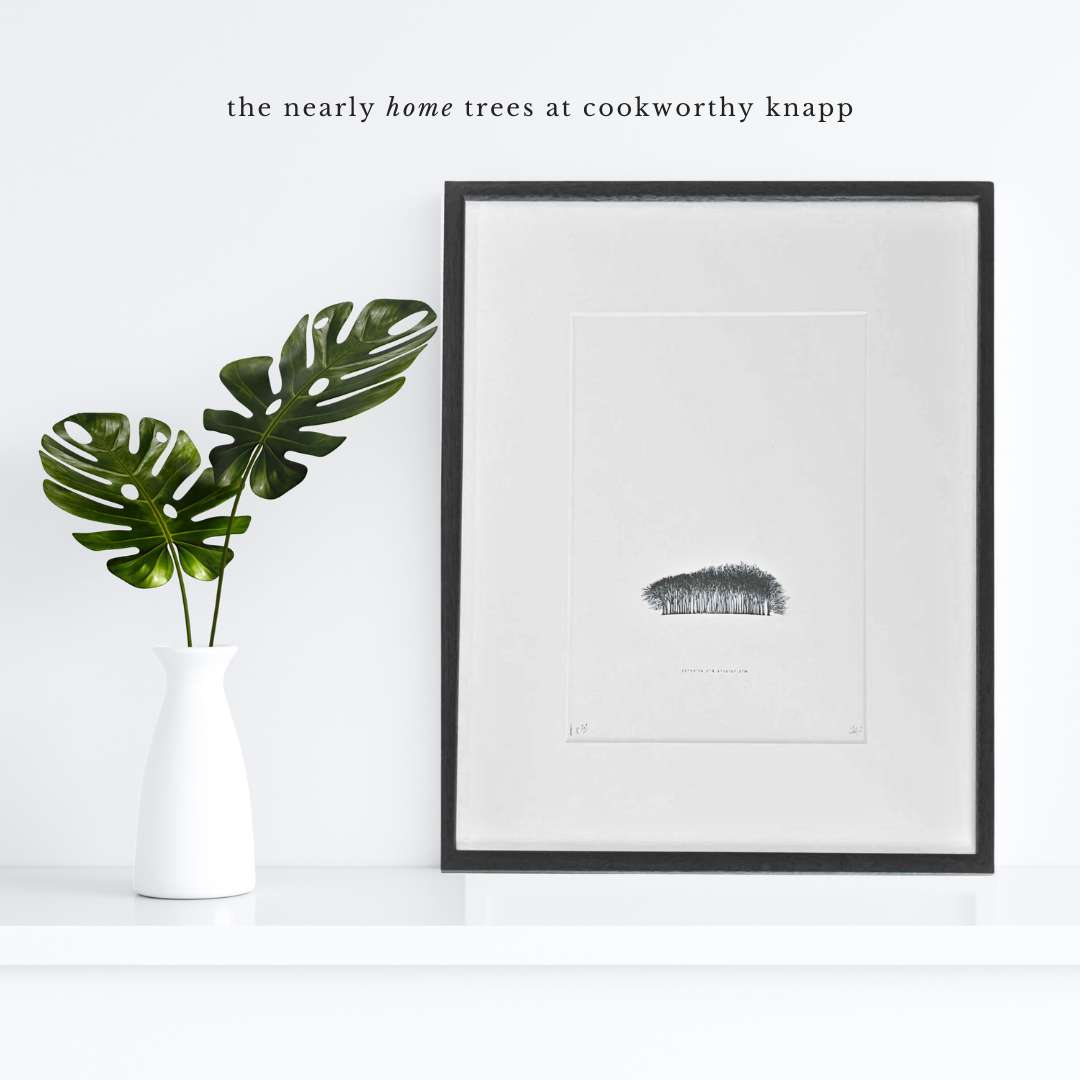 The Nearly Home Trees at Cookworthy Knapp| Framed Print