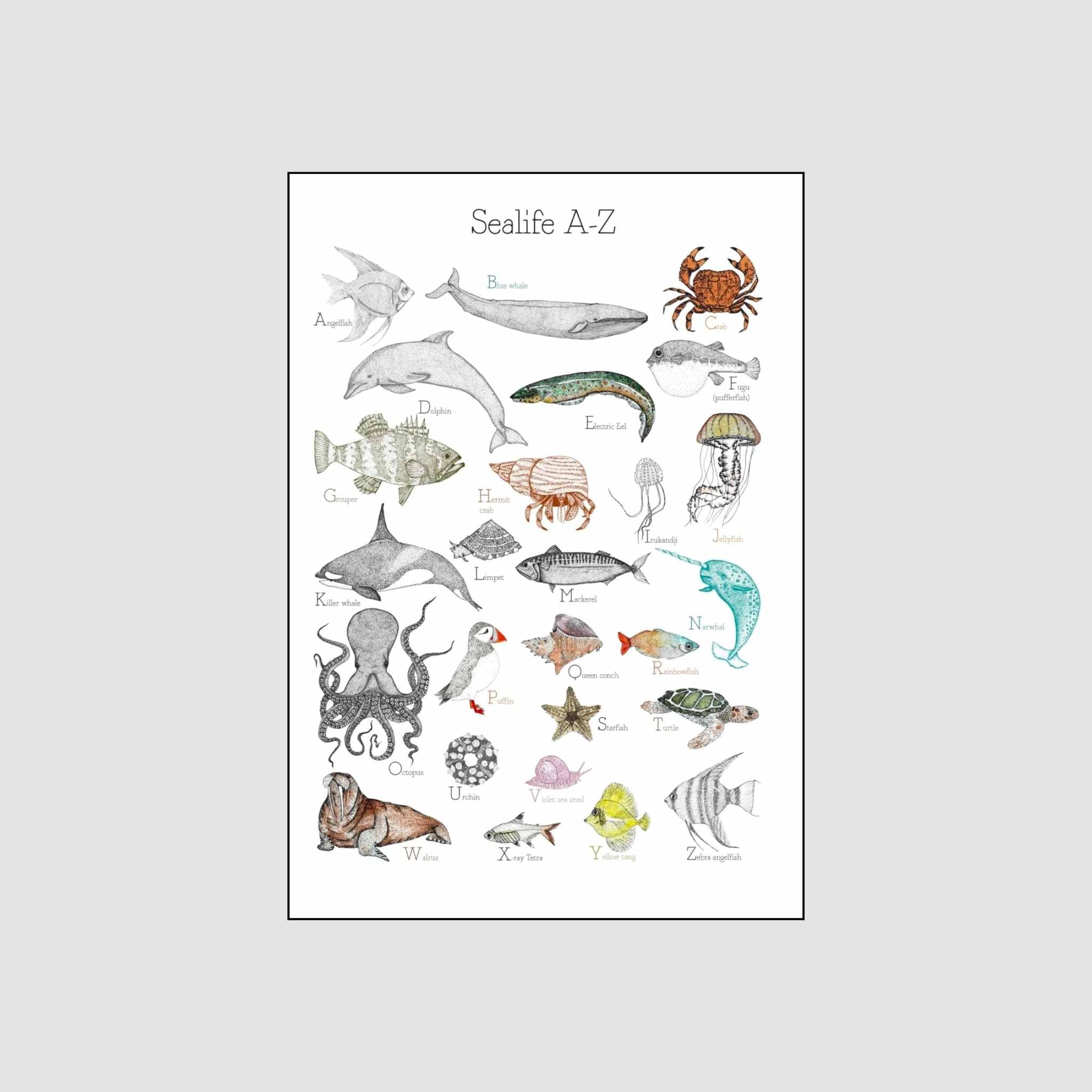 Sealife A-Z Print