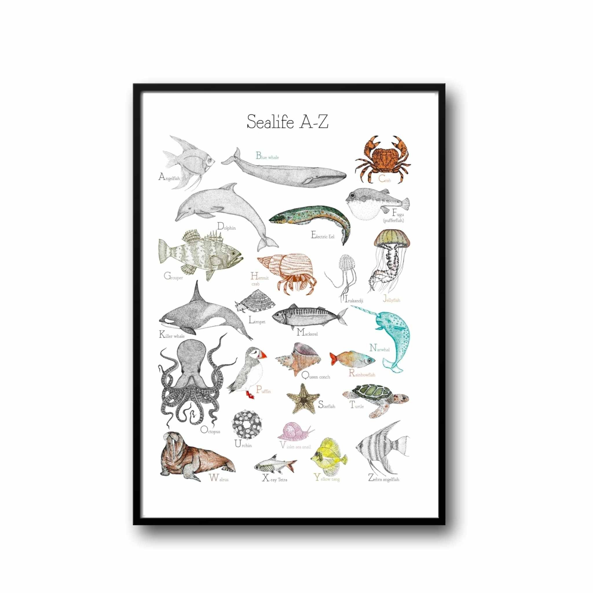 Sealife A-Z Print
