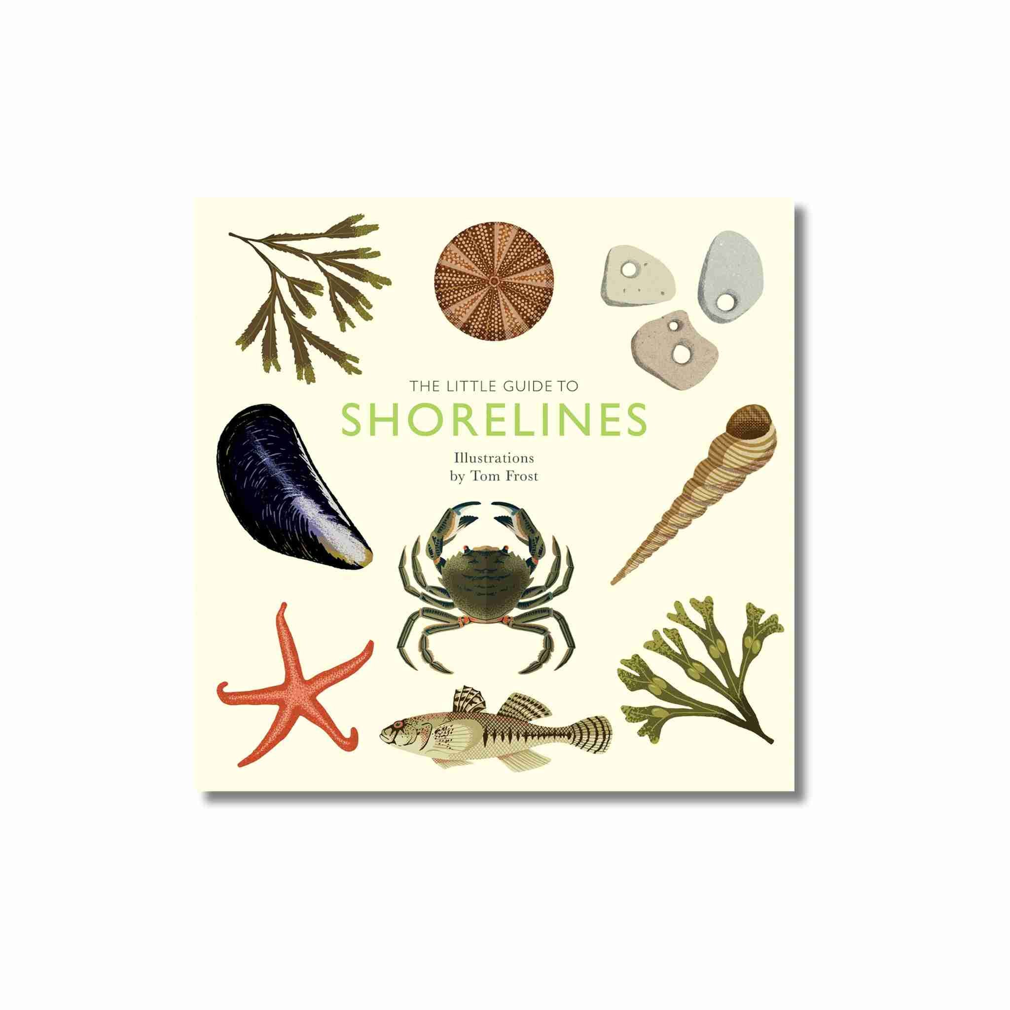 Book cover of 'The Little Guide to Shorelines' with illustrations of seashells, starfish, and other coastal elements on a beige background.