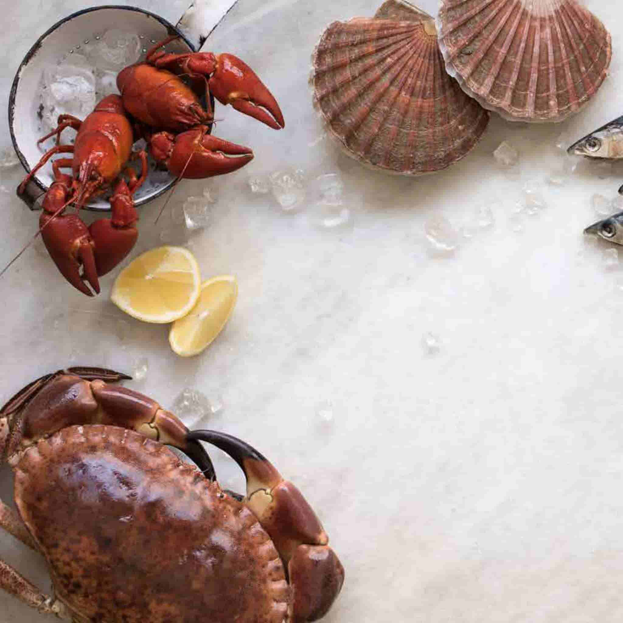 The Flexible Pescatarian Book