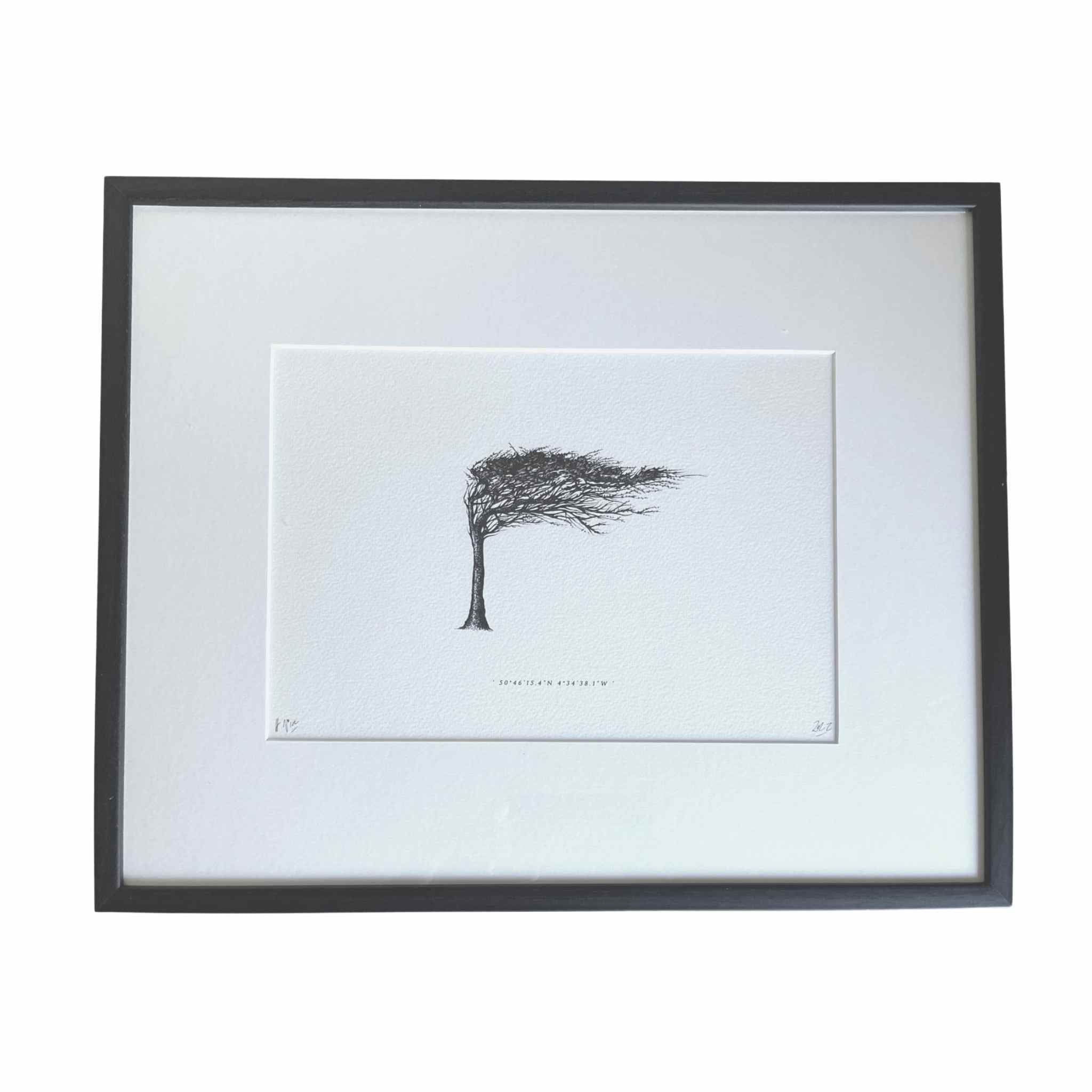 Wind Pruned Tree (Millook Haven), Framed Print