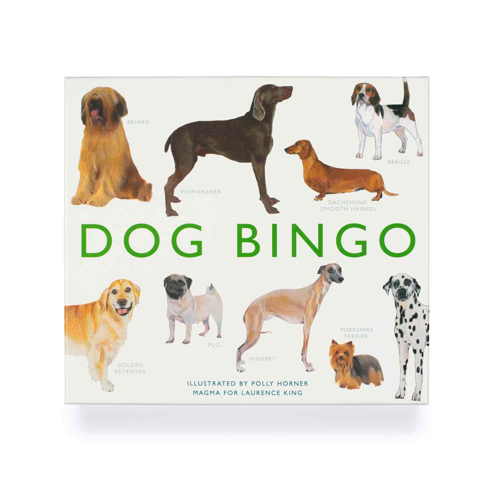 dog bingo webb street