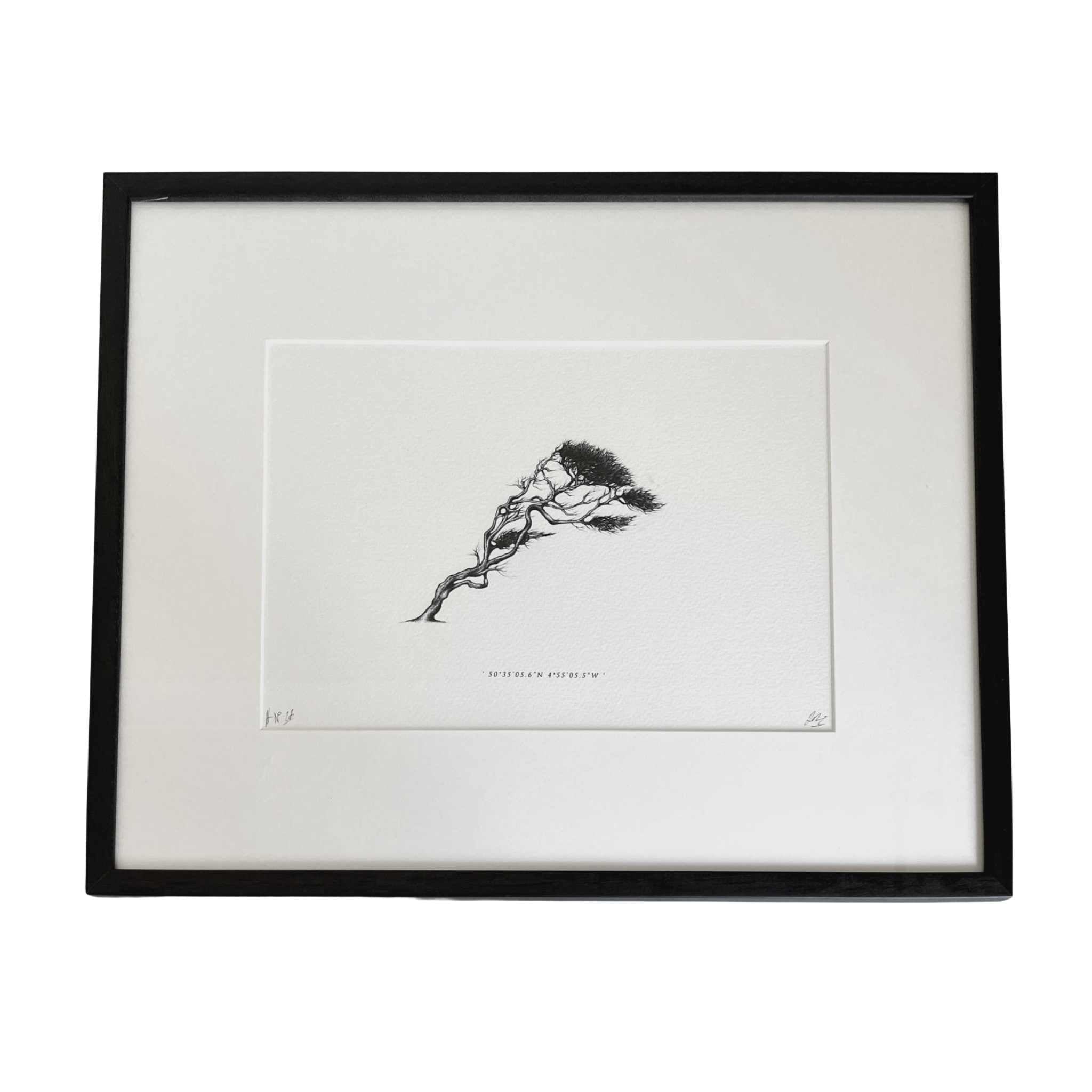 Wind Pruned Tree (Pentire Head), Framed Print