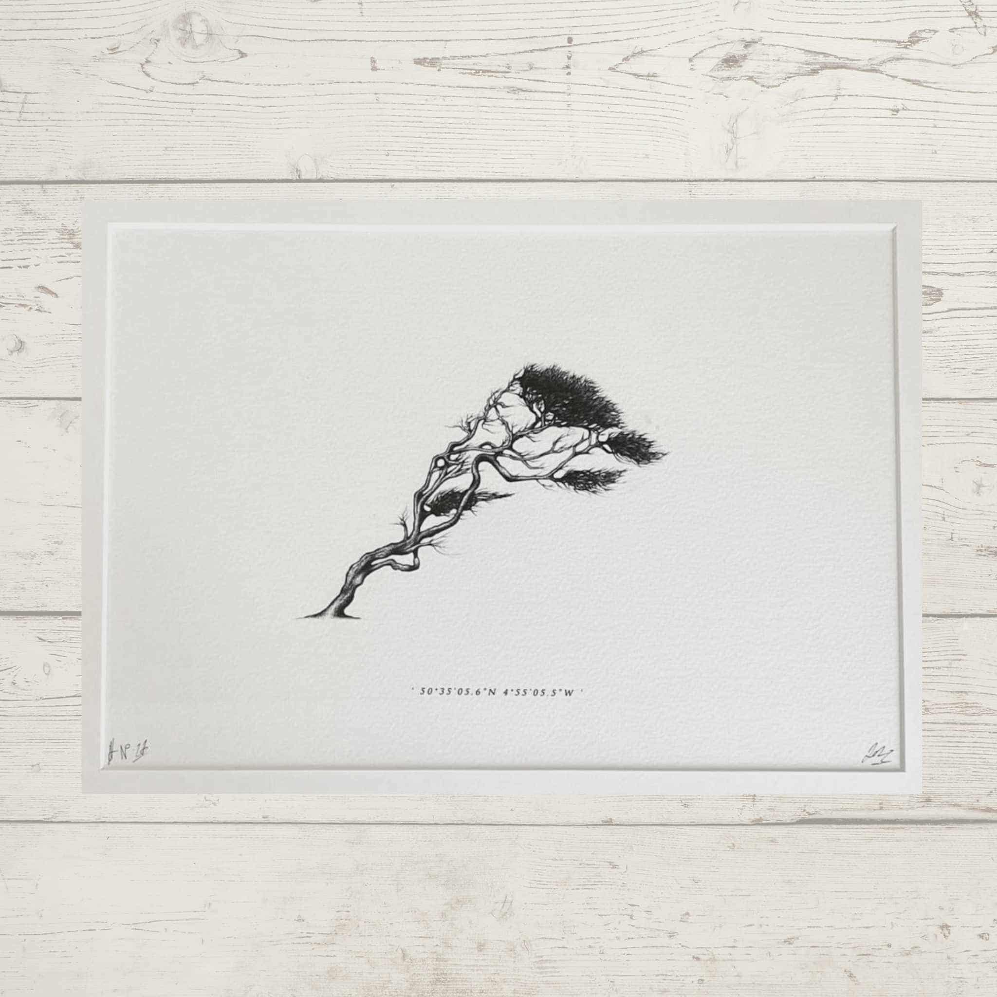 Wind Pruned Tree (Pentire Head), Framed Print