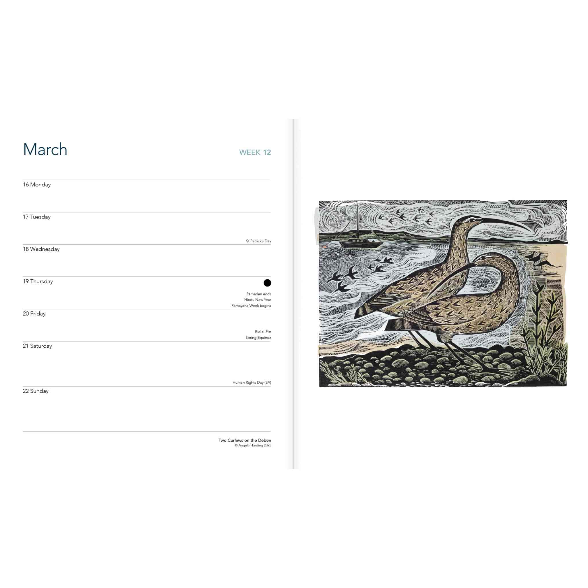 Angela Harding Desk Diary Planner 2026 week to week