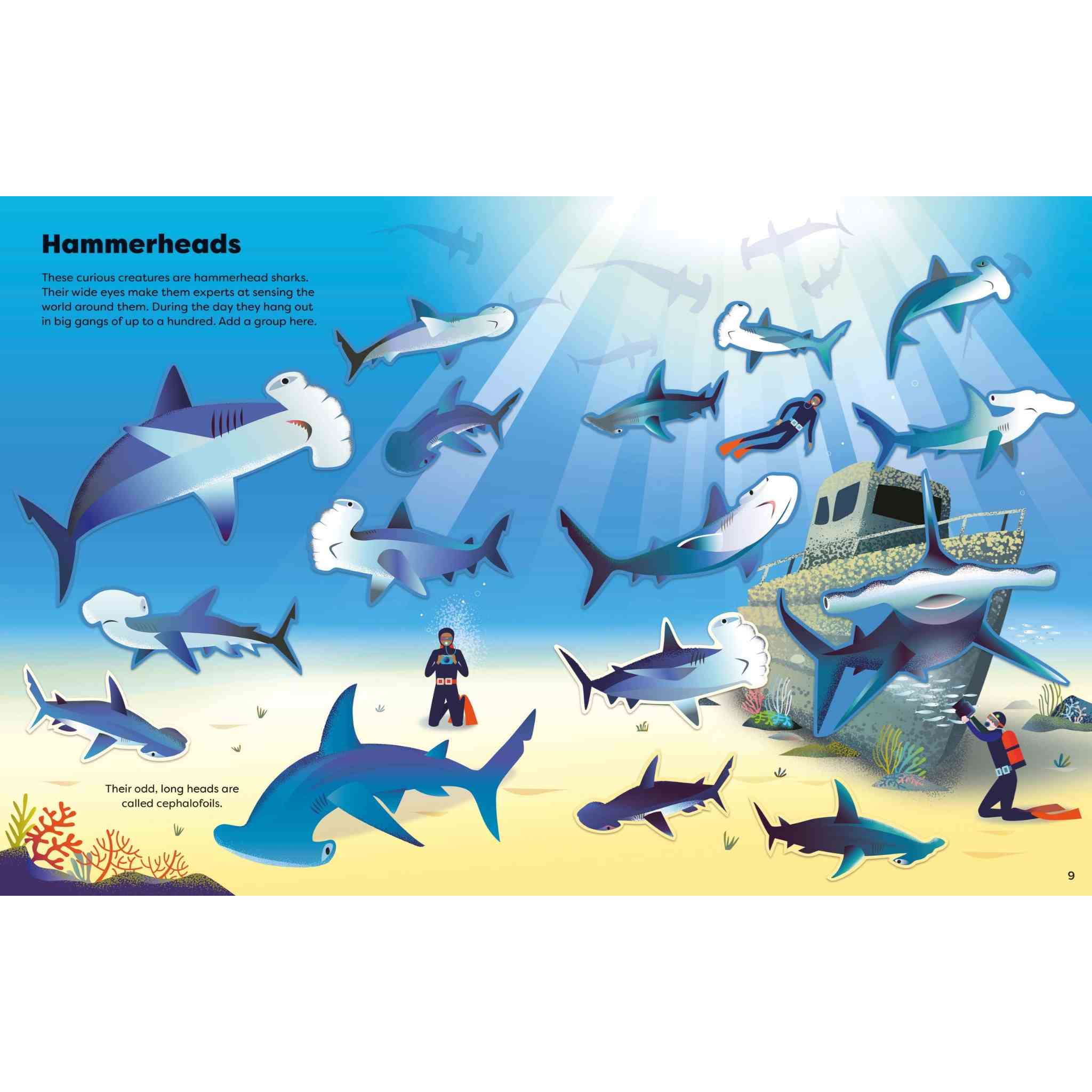 Big Sticker Book of Sharks