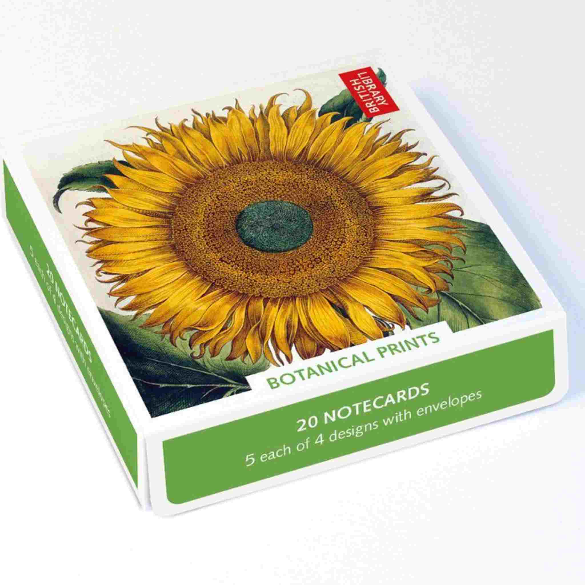 Box of Botanical Prints notecards with a sunflower design on a white background