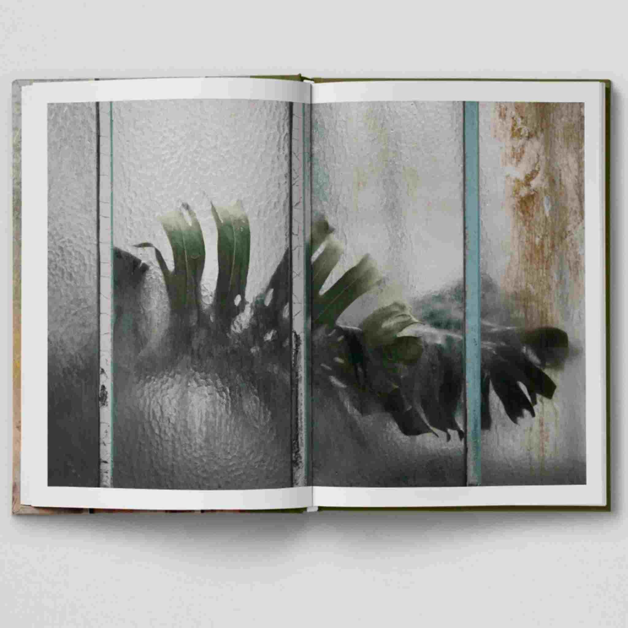 Botanical | Tales From The City