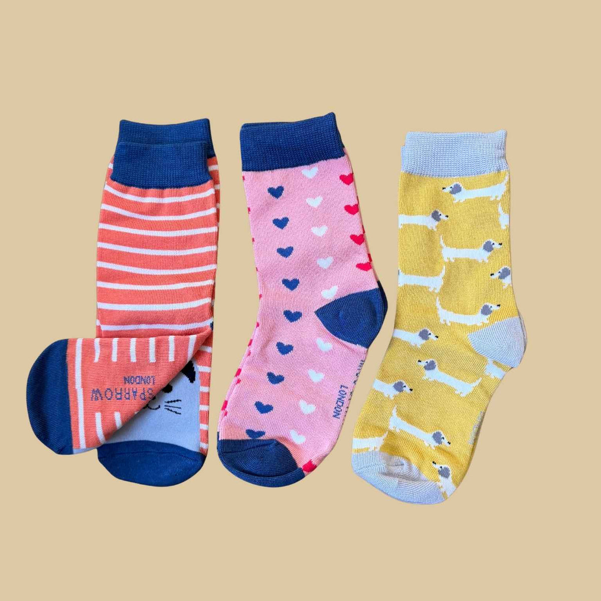Cat and Dogs Bamboo Socks in Gift Box | Girls 4-6 Years