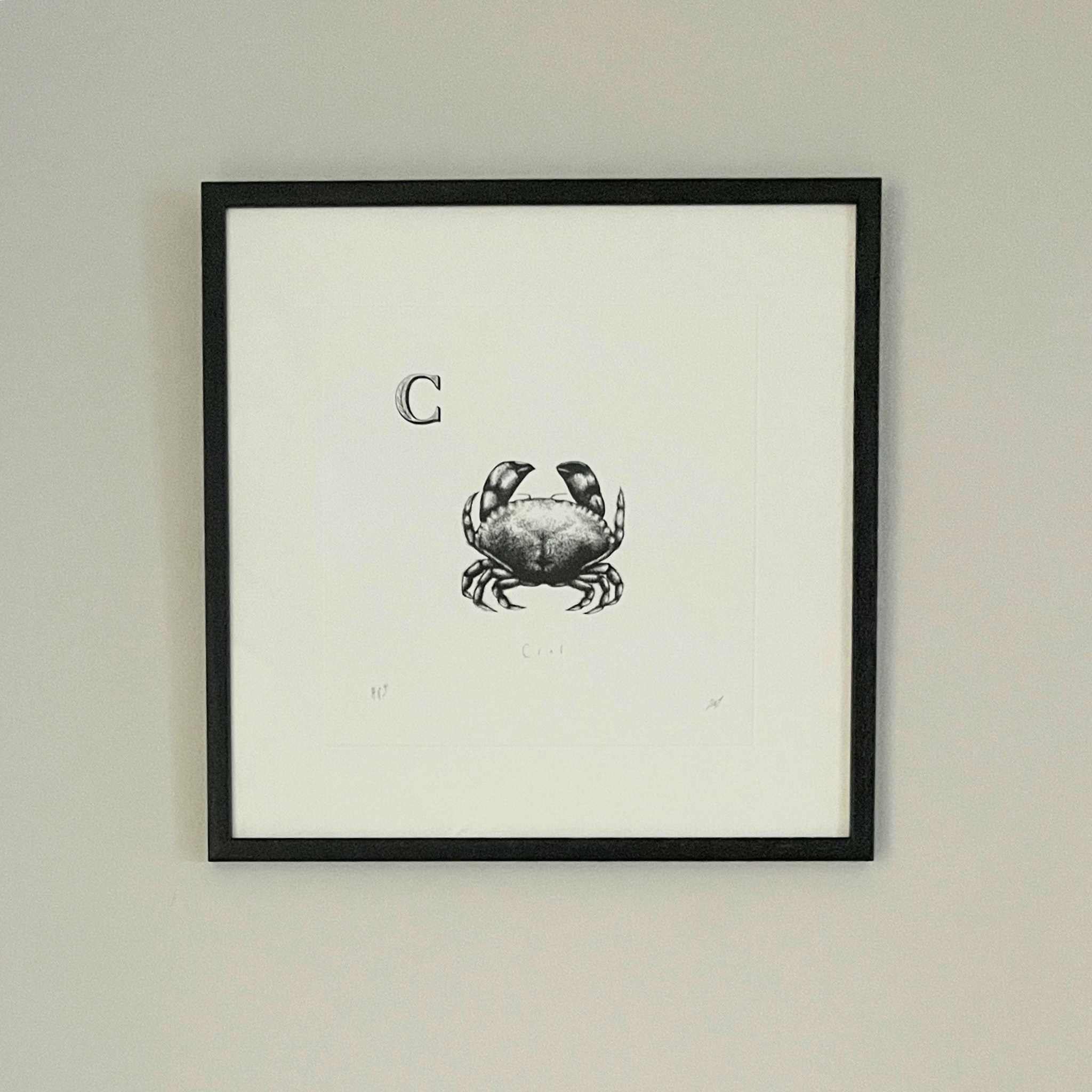 Crab | Cornish Fish Print