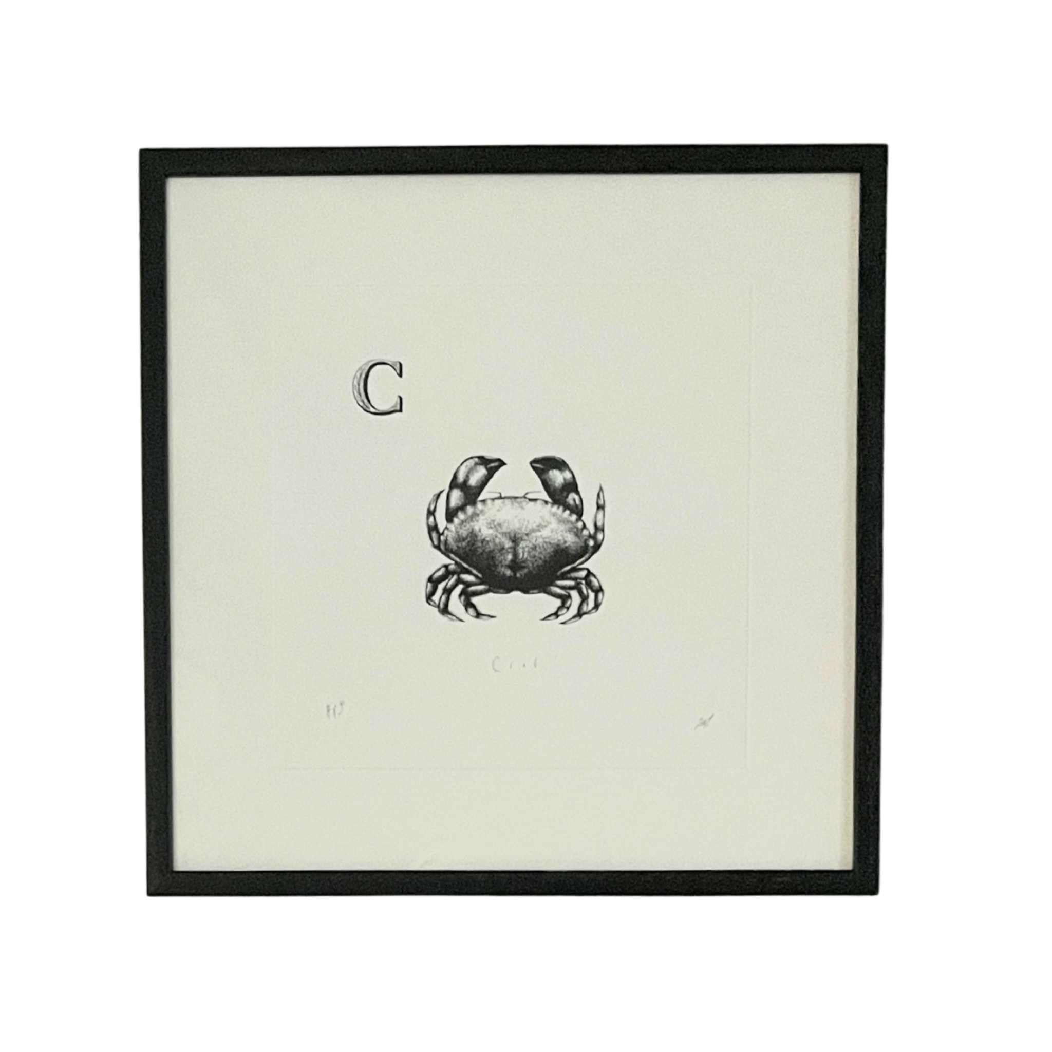 Crab | Cornish Fish Print