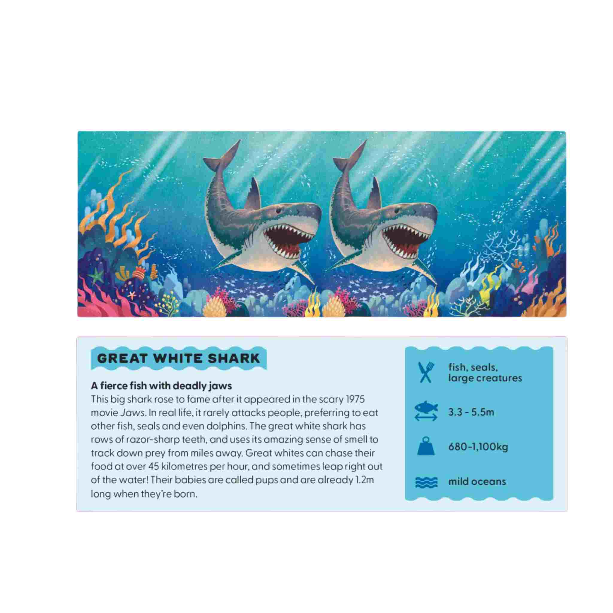 Dive into the Ocean | Immersive 3D Viewer