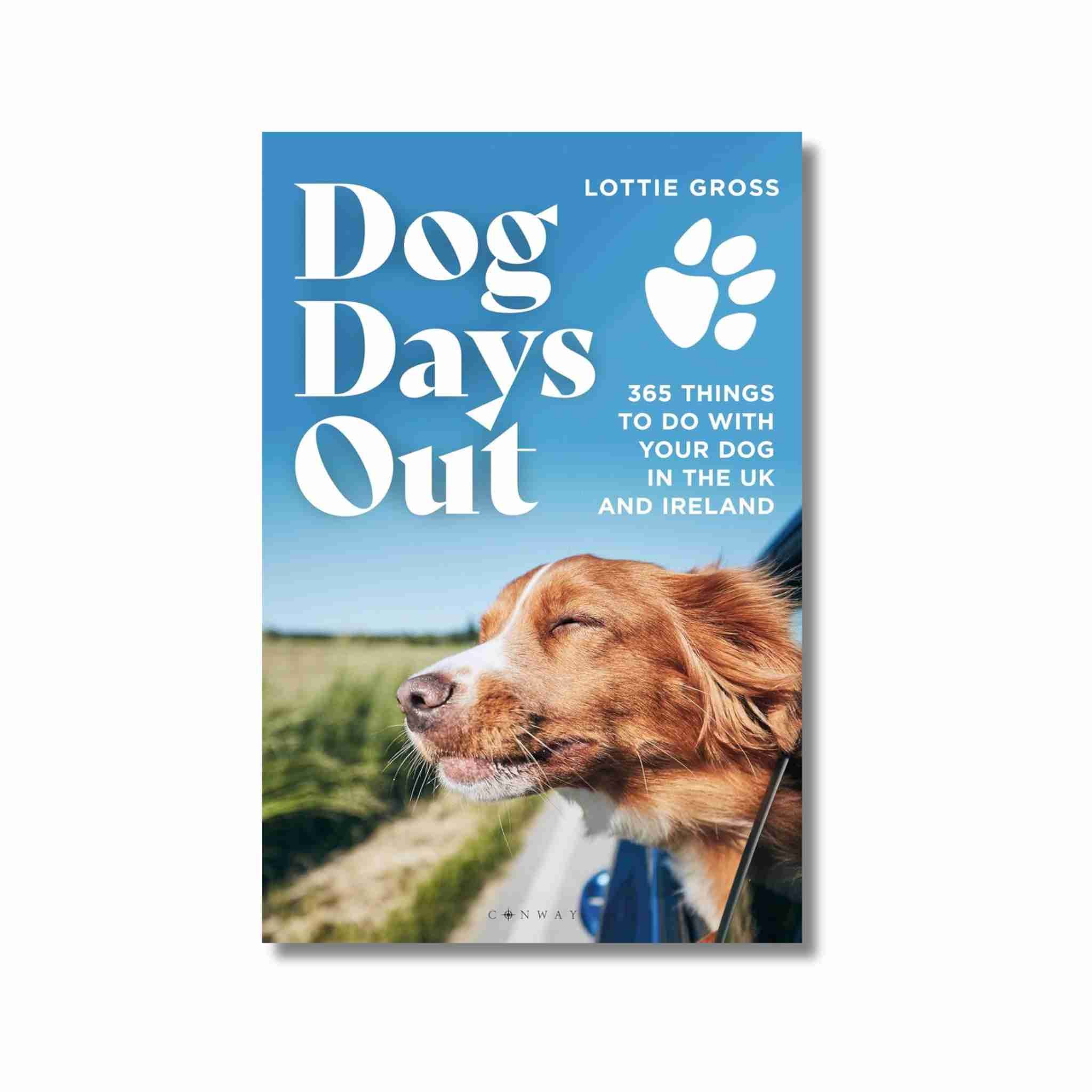 Book cover of 'Dog Days Out' with a dog on a road trip and blue sky.