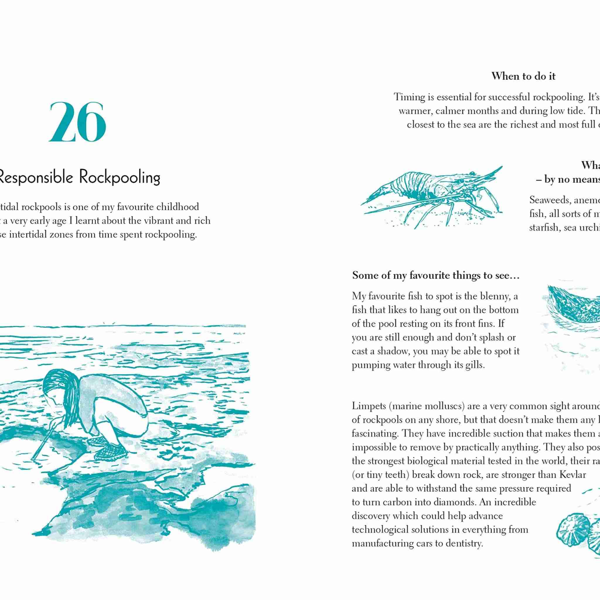 Fifty Things to Do by the Sea