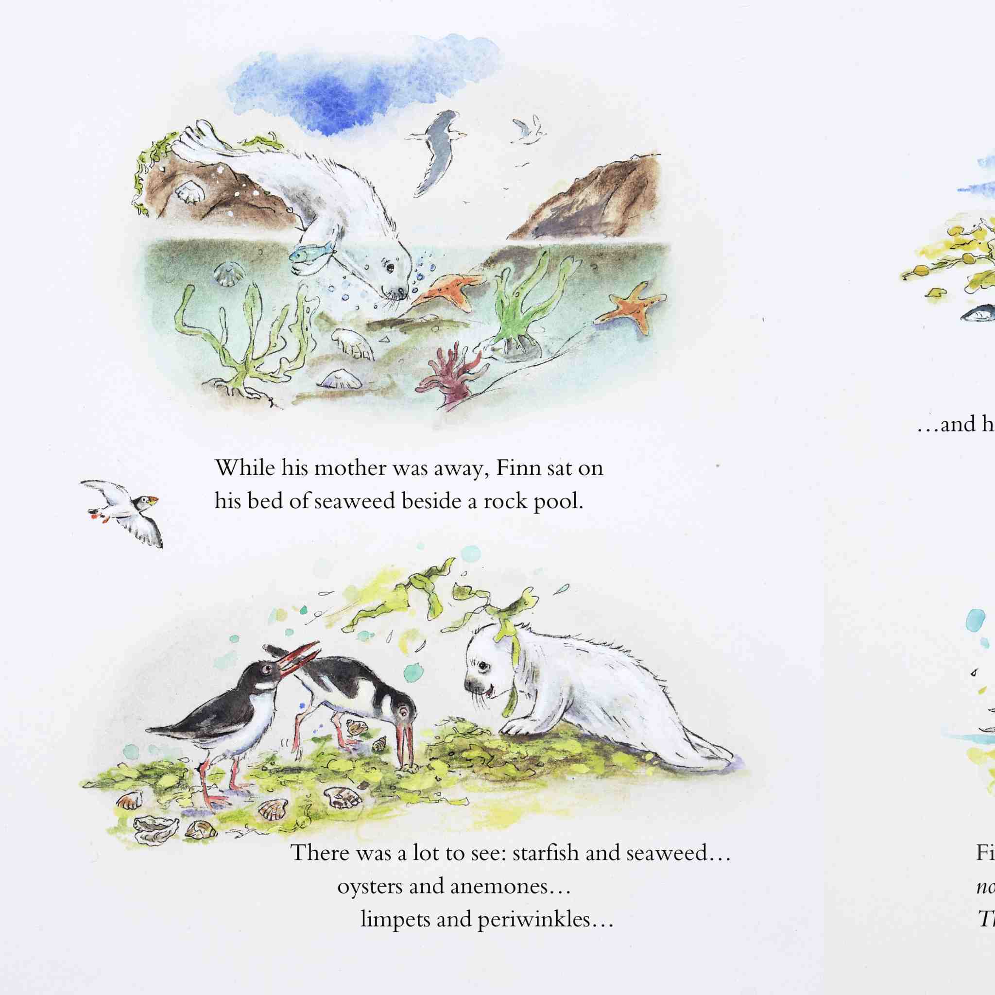 Illustration of a seal and penguins by a rock pool with text describing the scene.