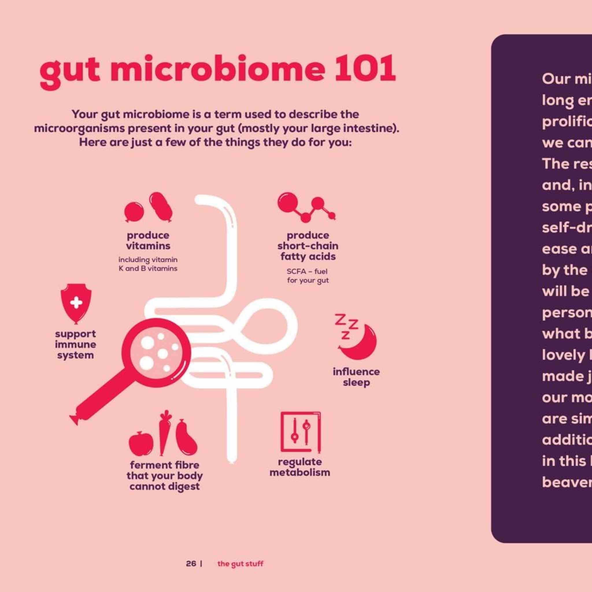 Gut Stuff | Nourishing Recipes for a Healthy Gut