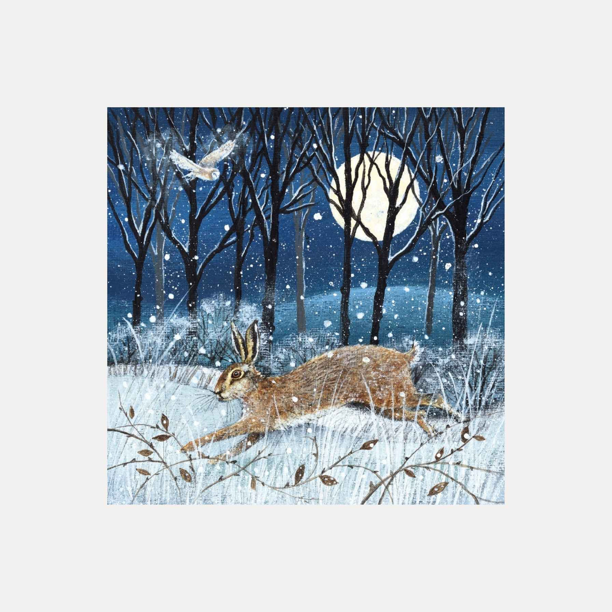 Hare, Moon and Owl | 8 Charity Christmas Cards