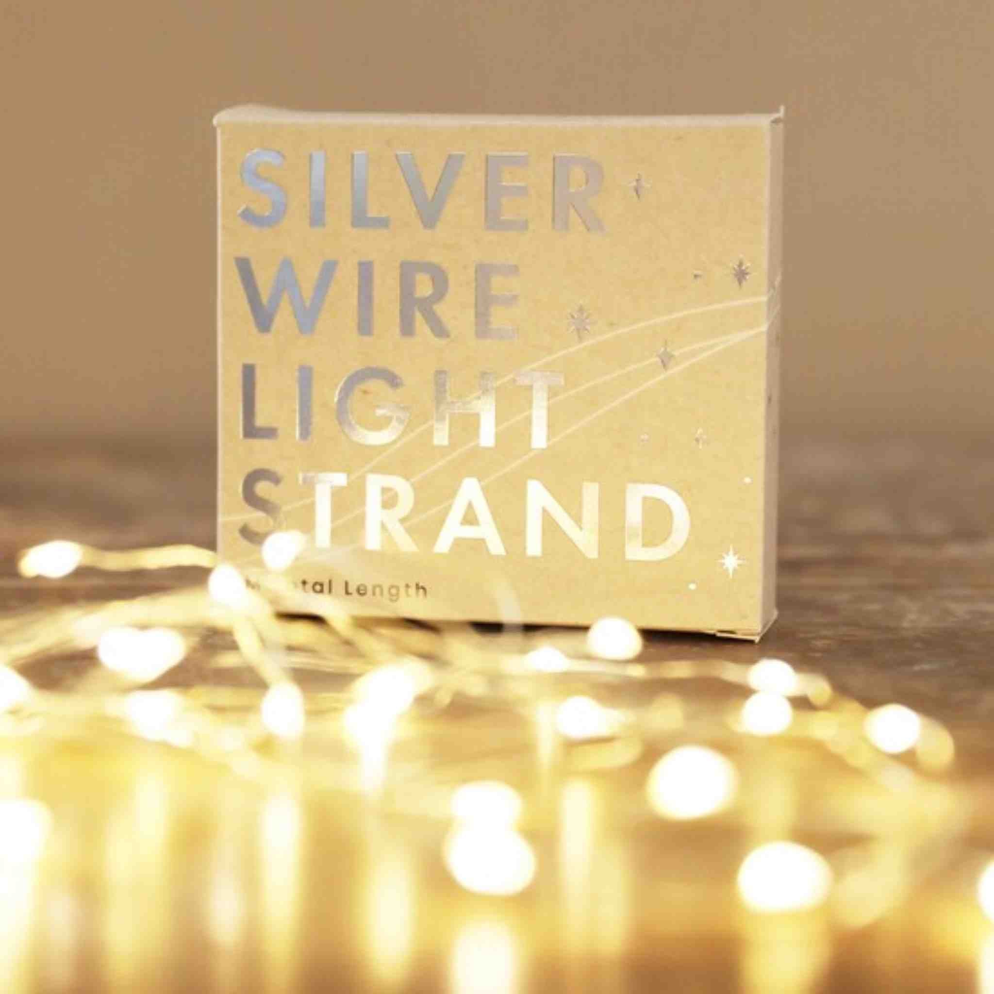 Silver Wire Light Strand