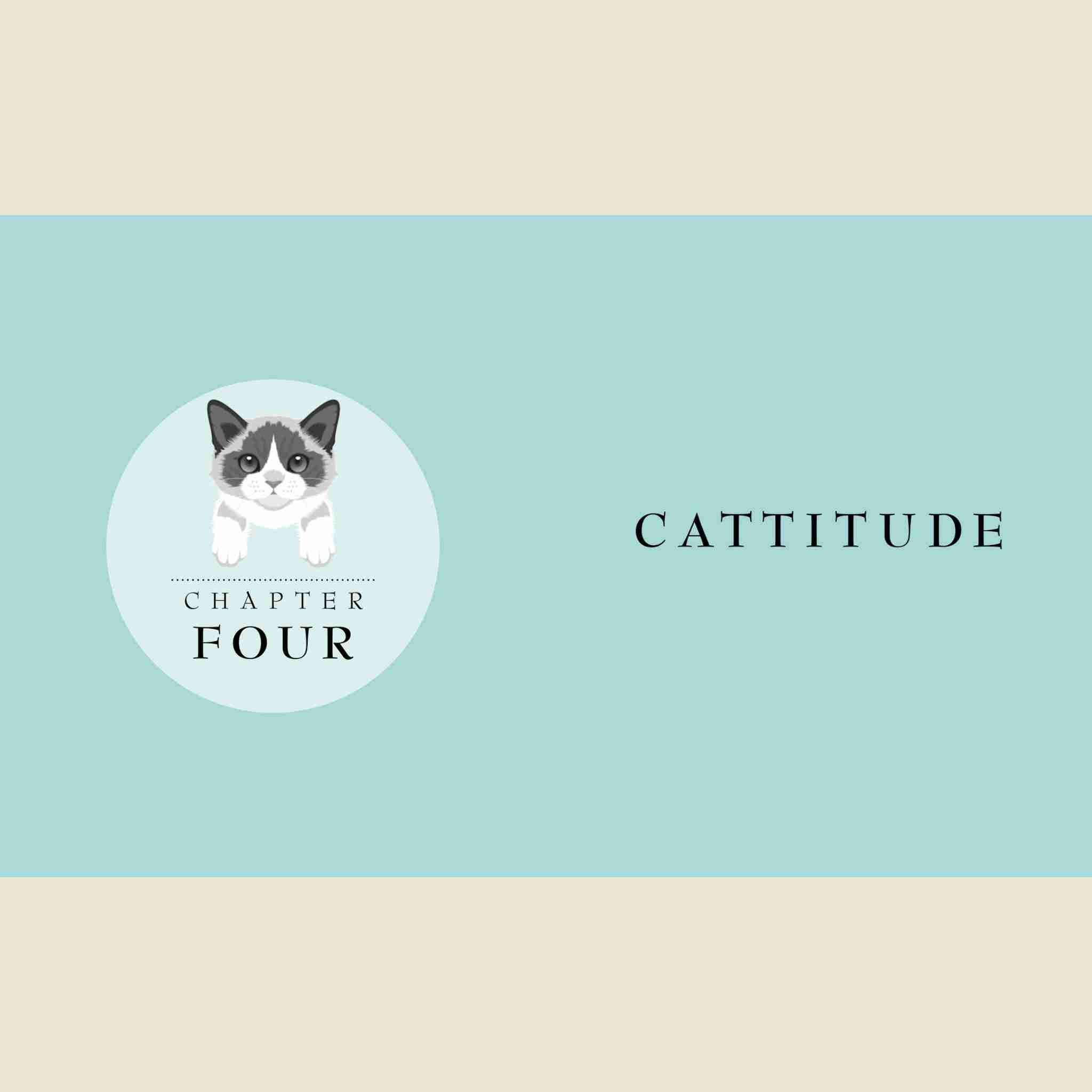 Little Book of Cats