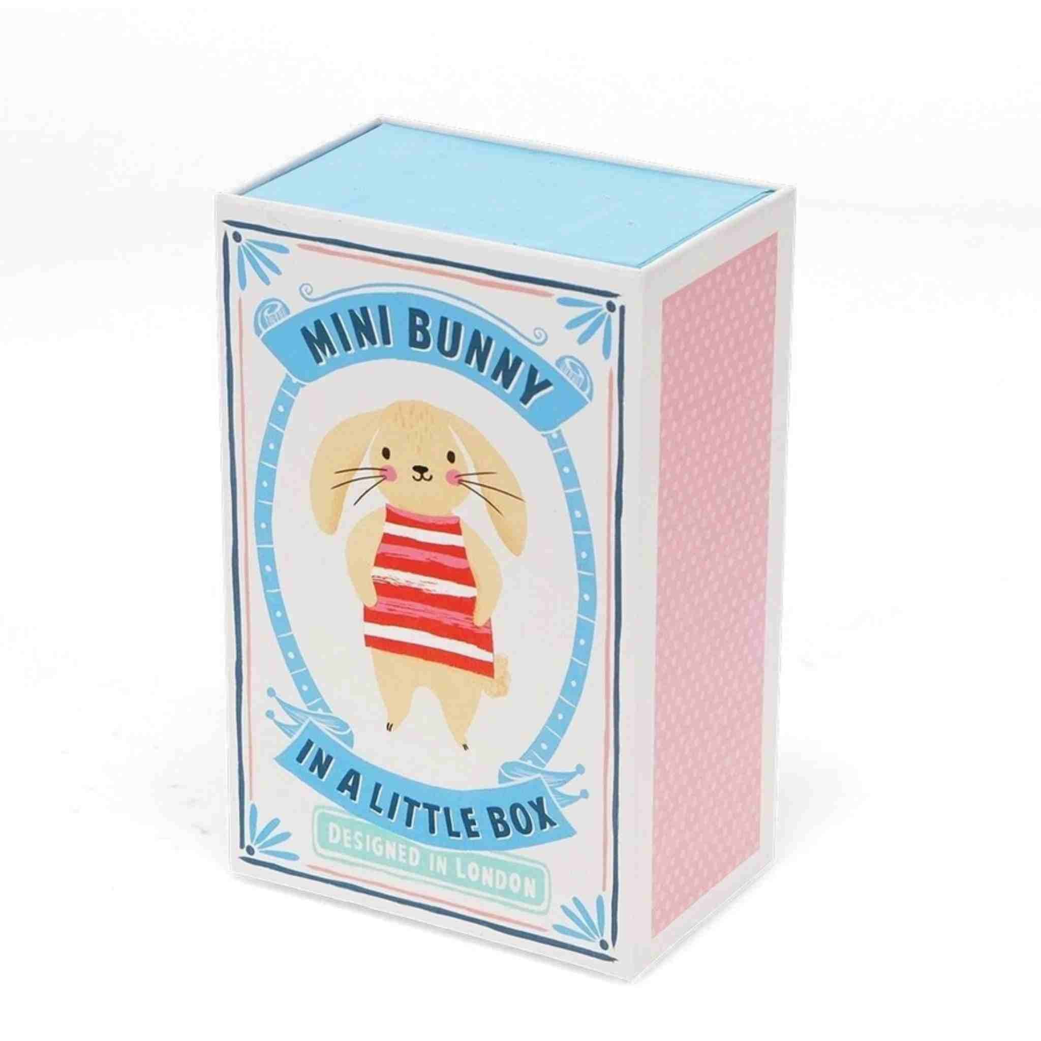 Mini Bunny in a Little Box