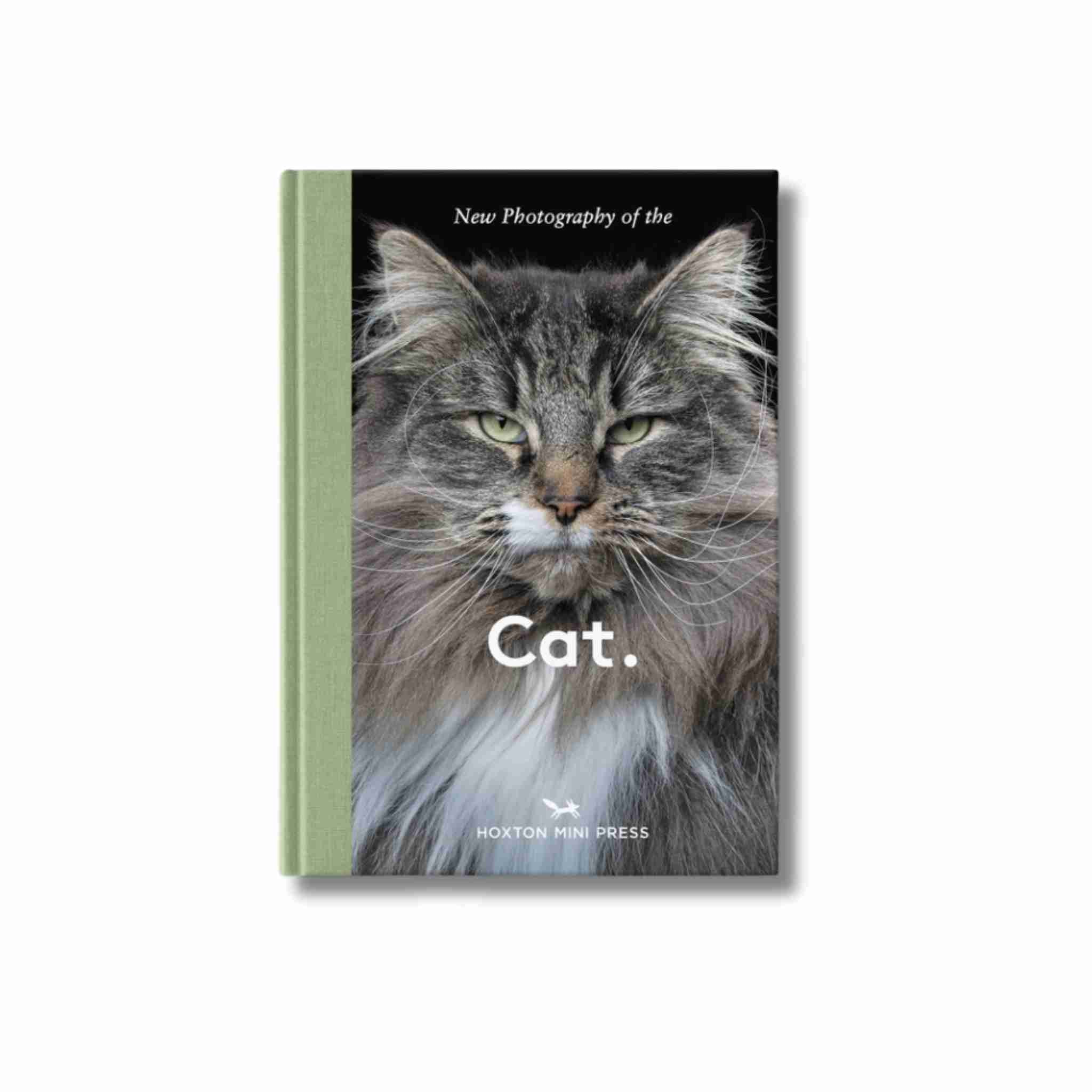 New photography of the Cat.