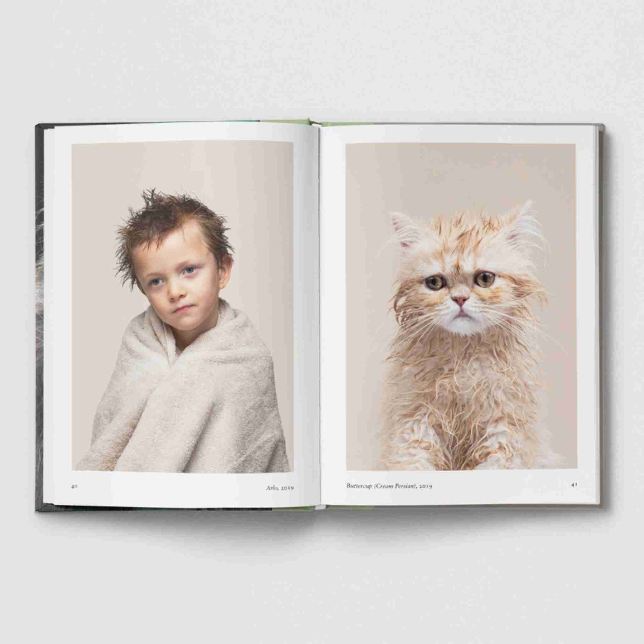 New photography of the Cat.