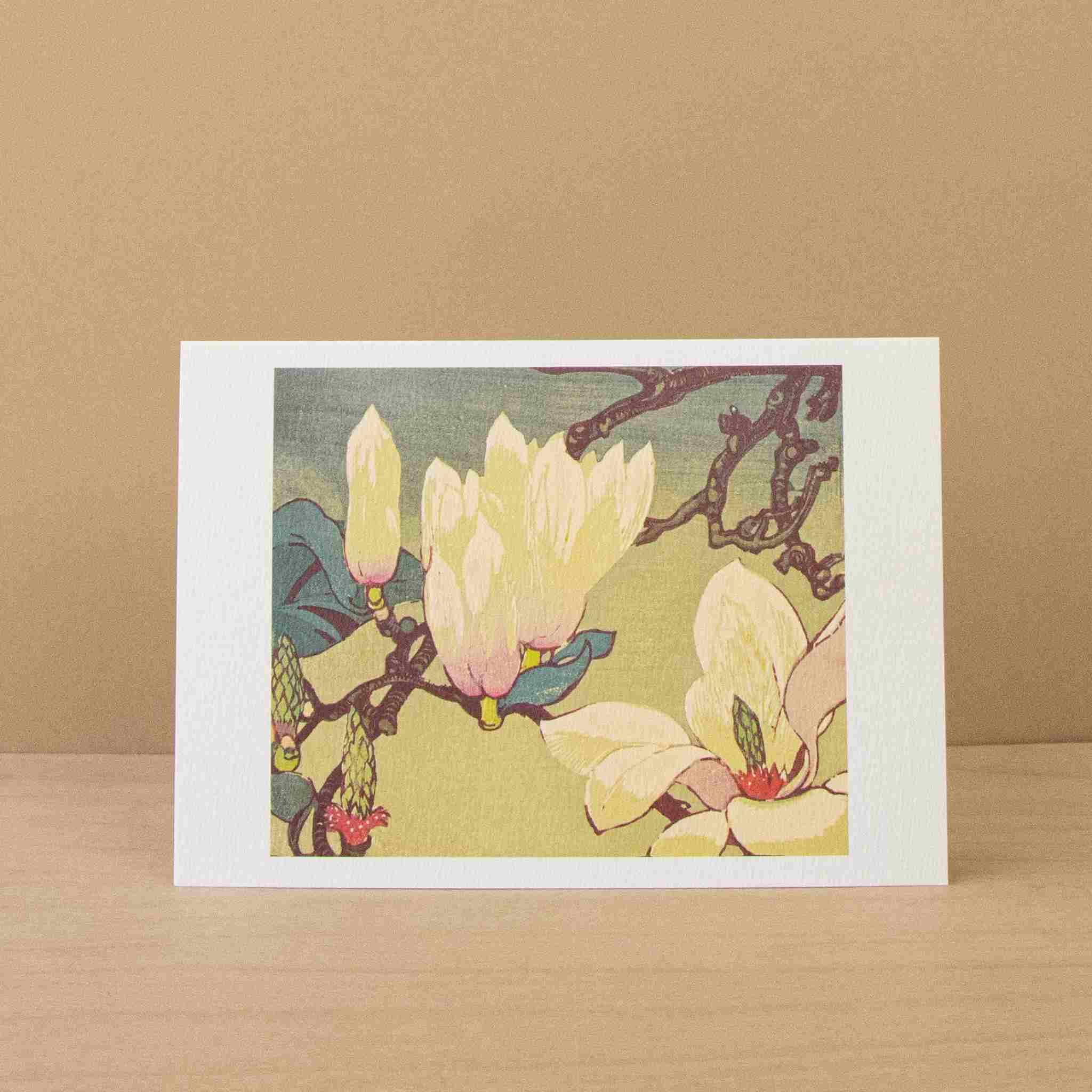 Notecards | Magnolias & White Lilies