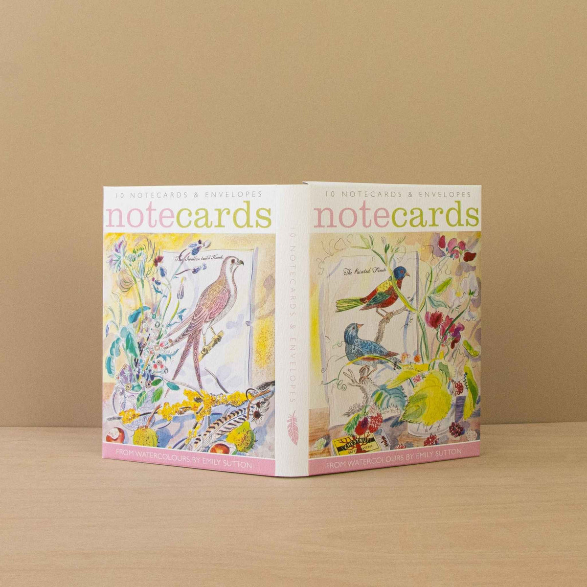 Notecards | Swallow Tail'd Hawk & The Painted Finch