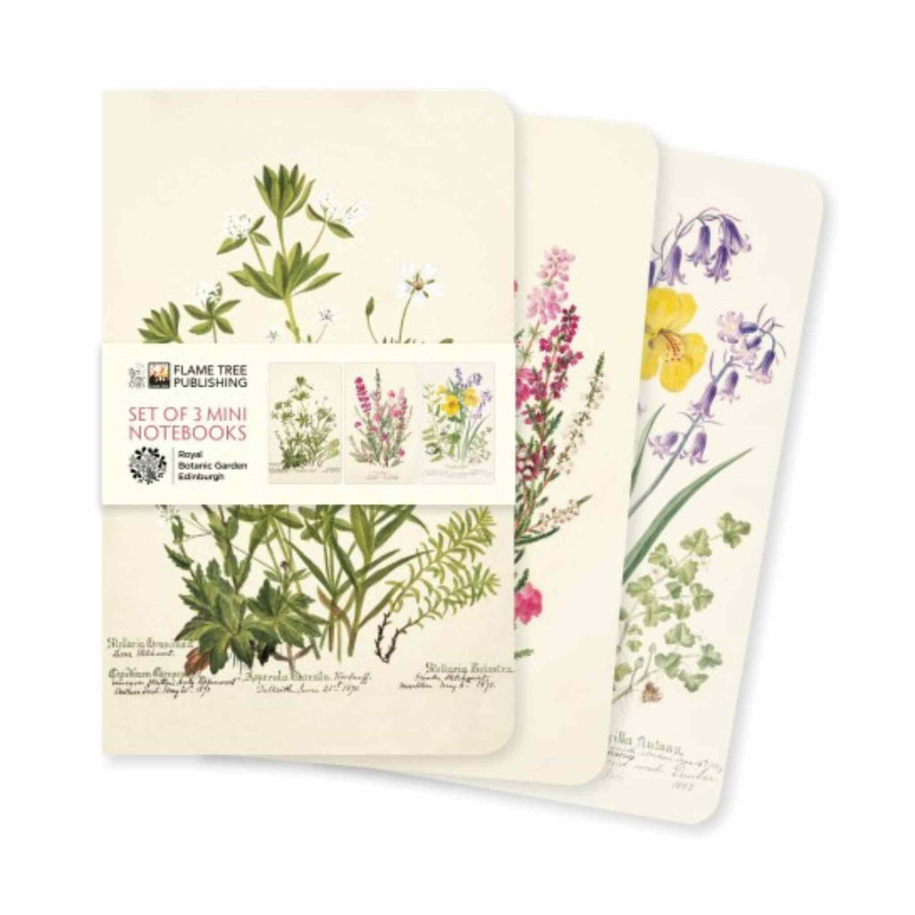 Royal Botanic Garden Edinburgh Set of 3 Mini Notebooks