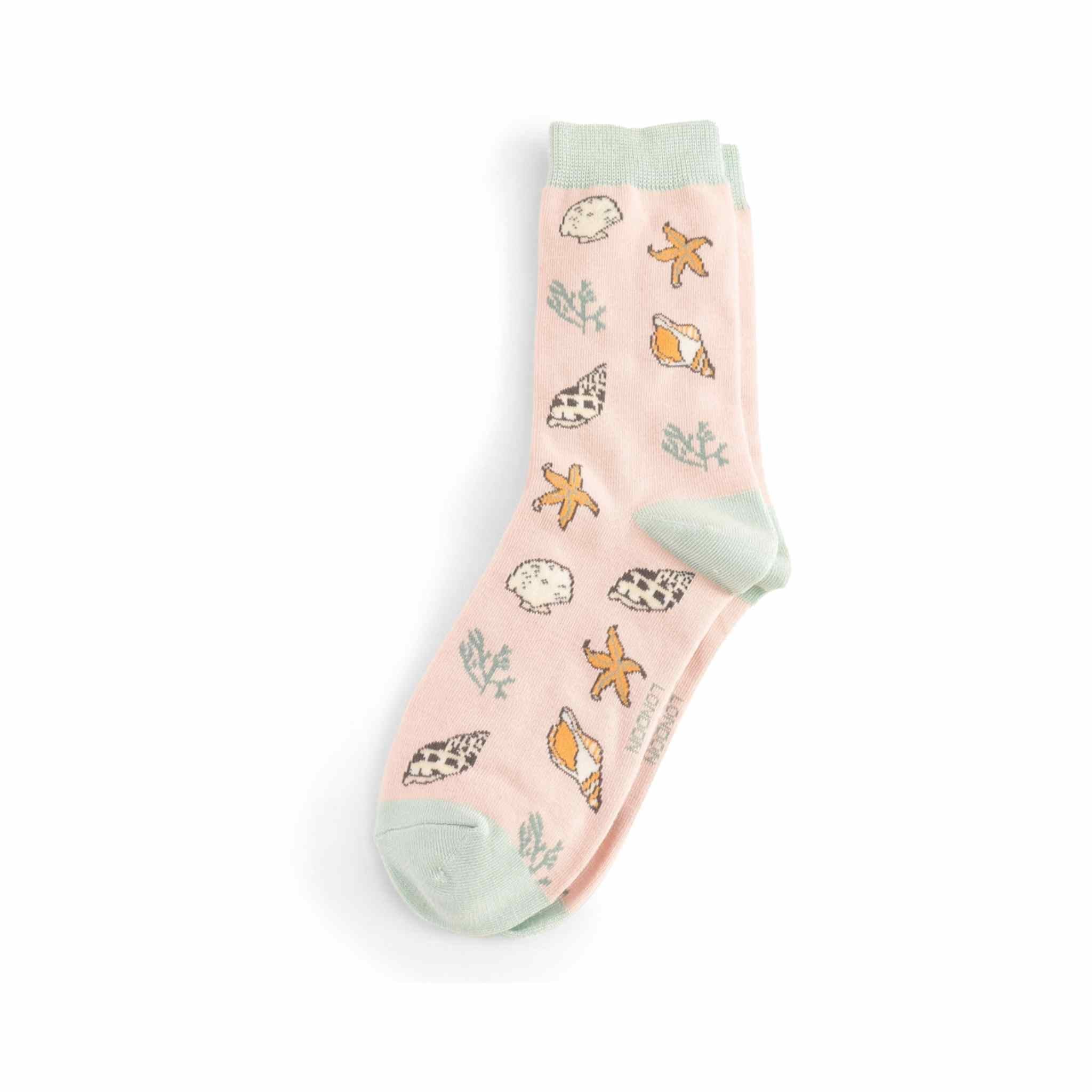 Seashell Socks | (Womens)