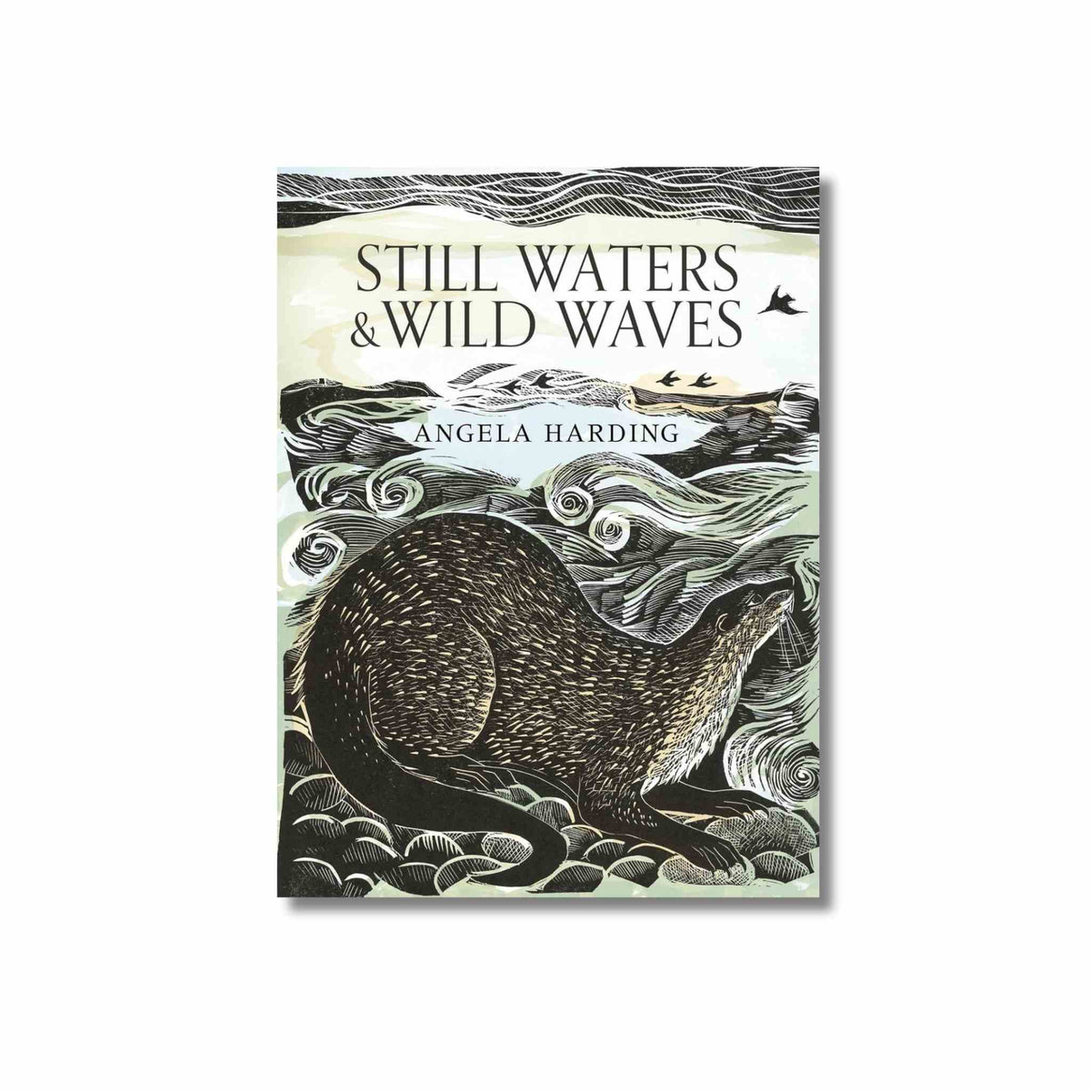 Still Waters & Wild Waves