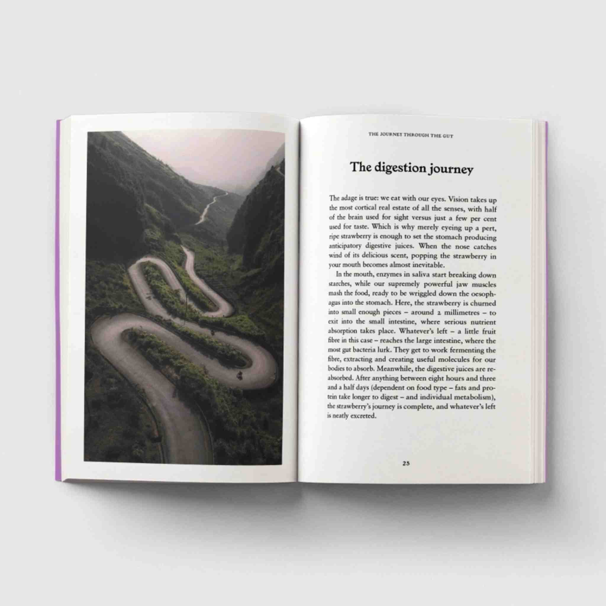 The digestion Journey - page with winding road 