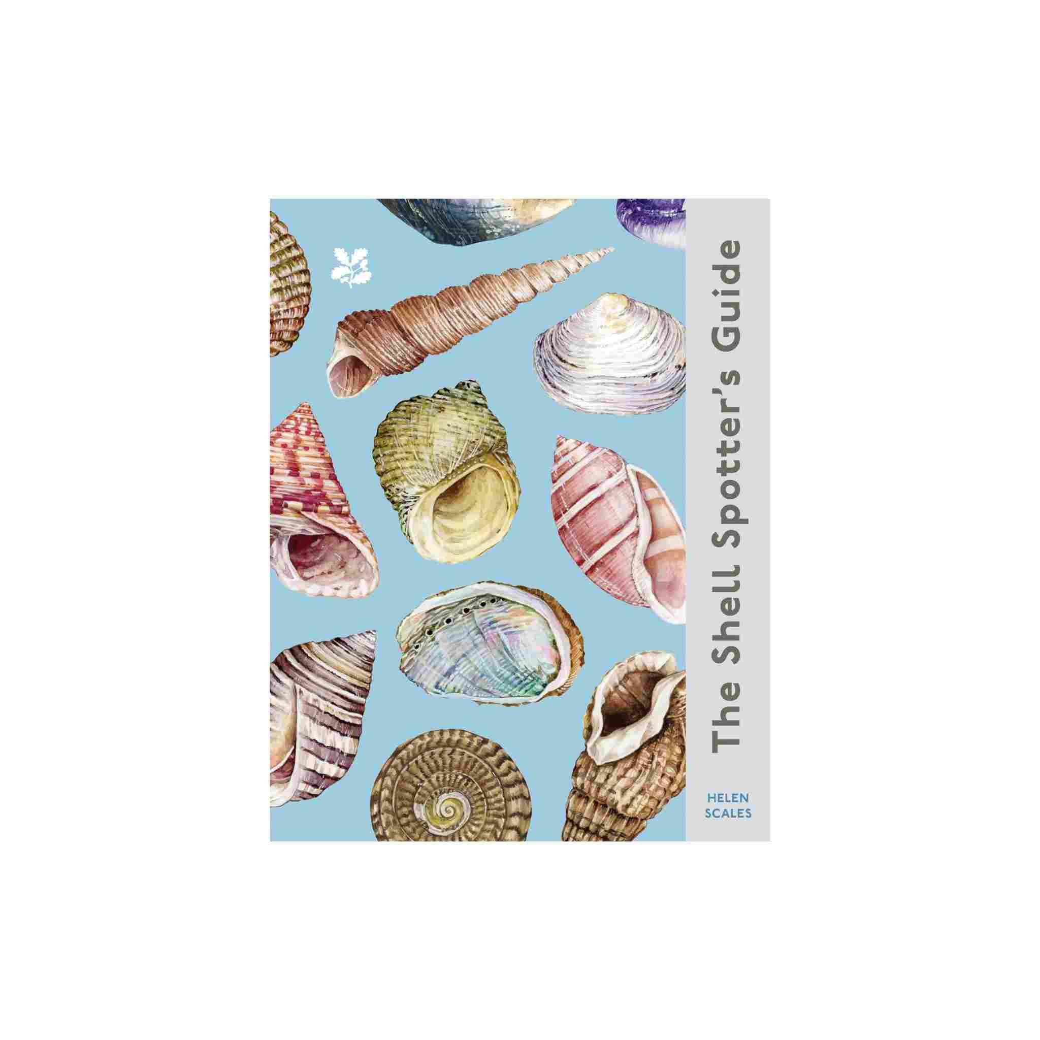 The Shell Spotter’s Guide