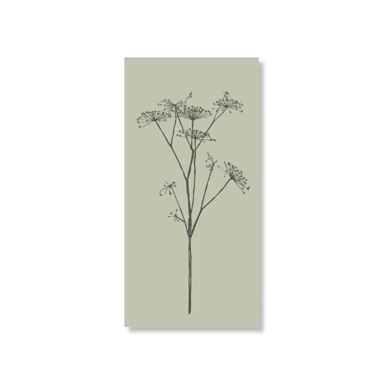 Umbel Flower Napkins | Pack of 16