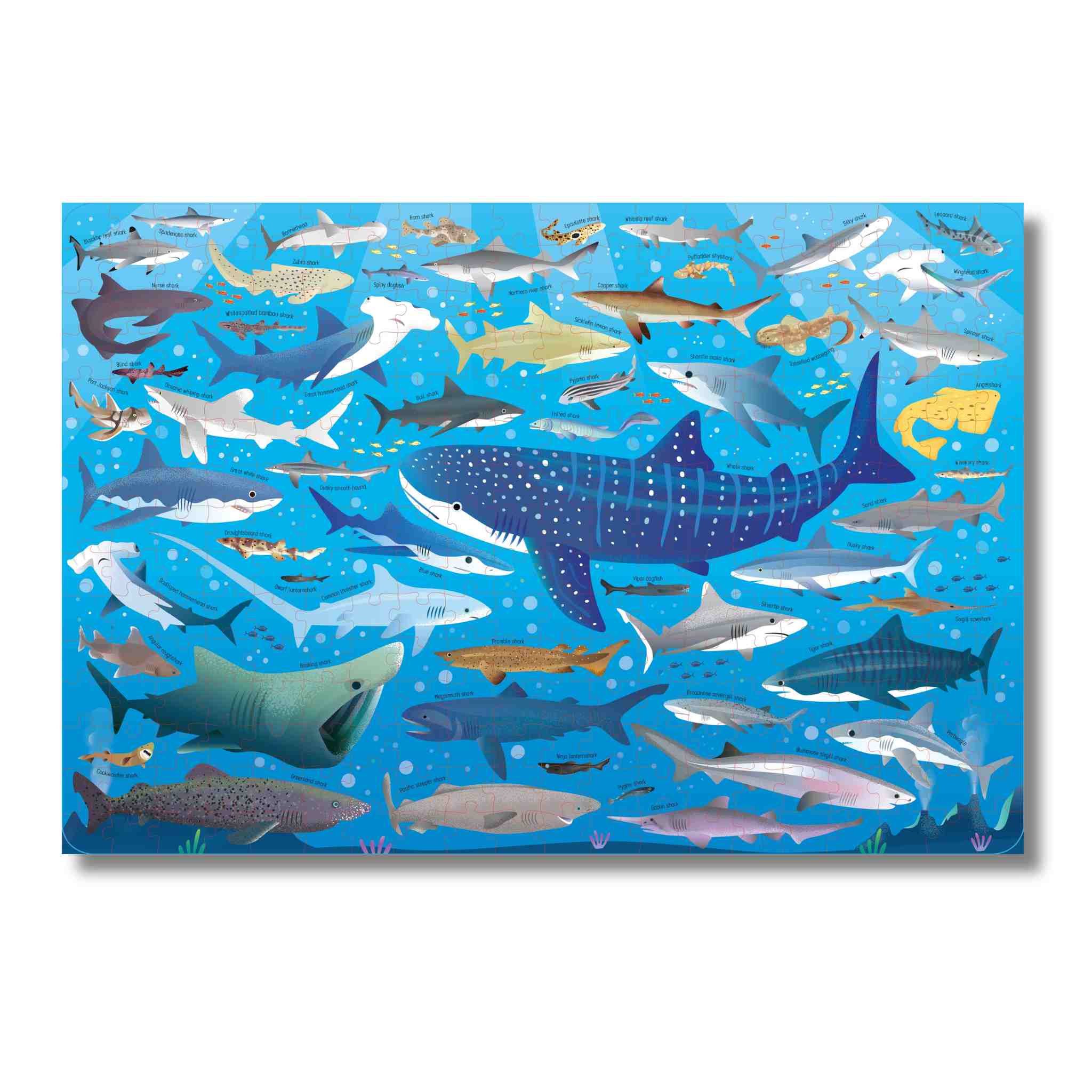Jigsaw with various shark illustrations on a blue background