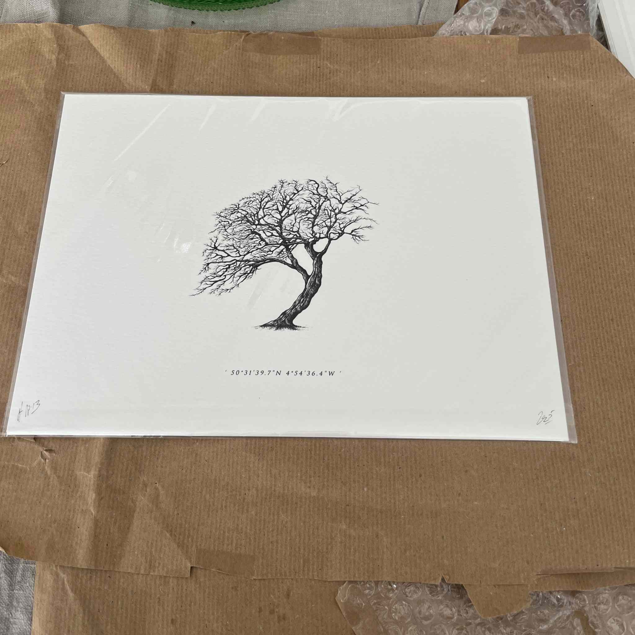 Wind Pruned Tree (Old Town Cove) Print