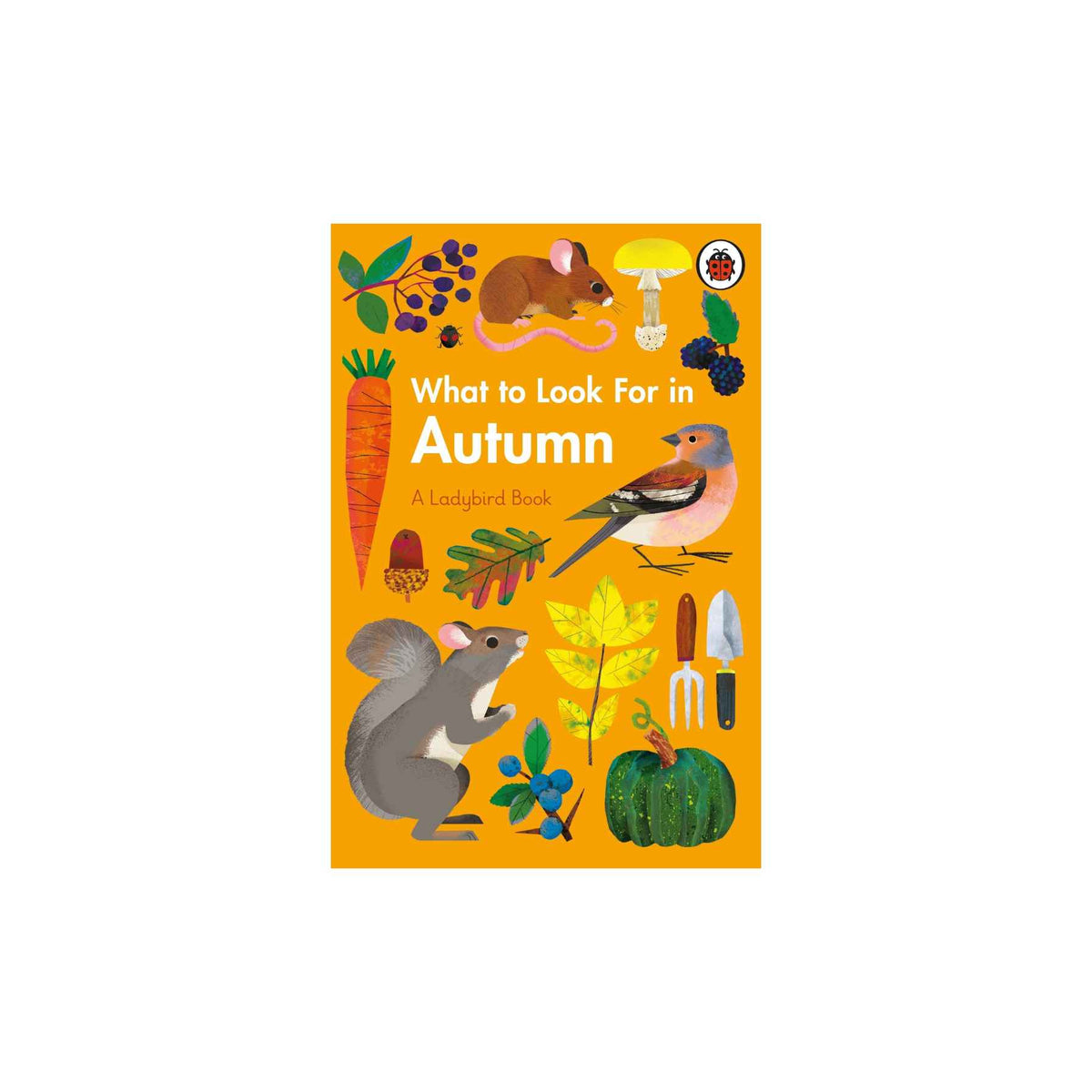 What to Look For in Autumn