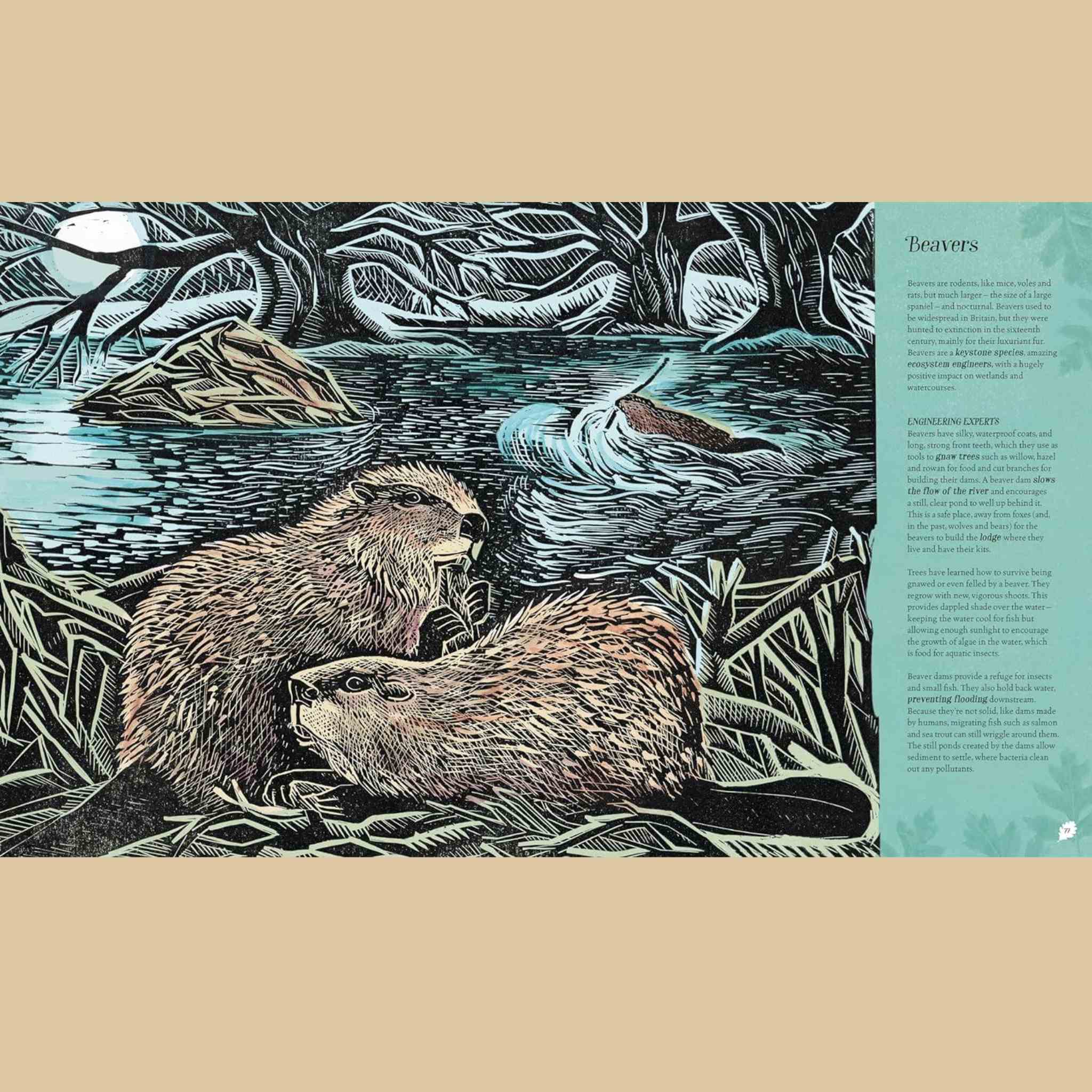 Wilding | How to Bring Wildlife Back