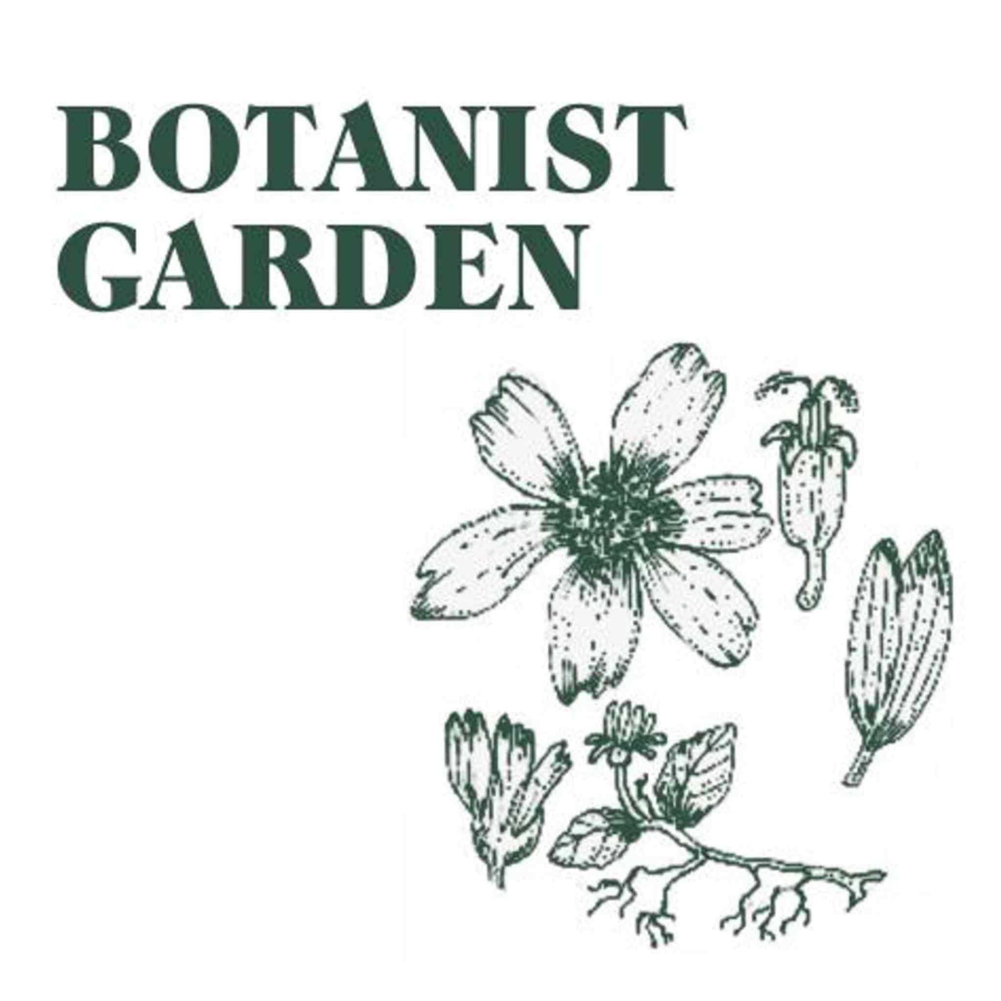 Botanical Stamped Natural Soap | 100g