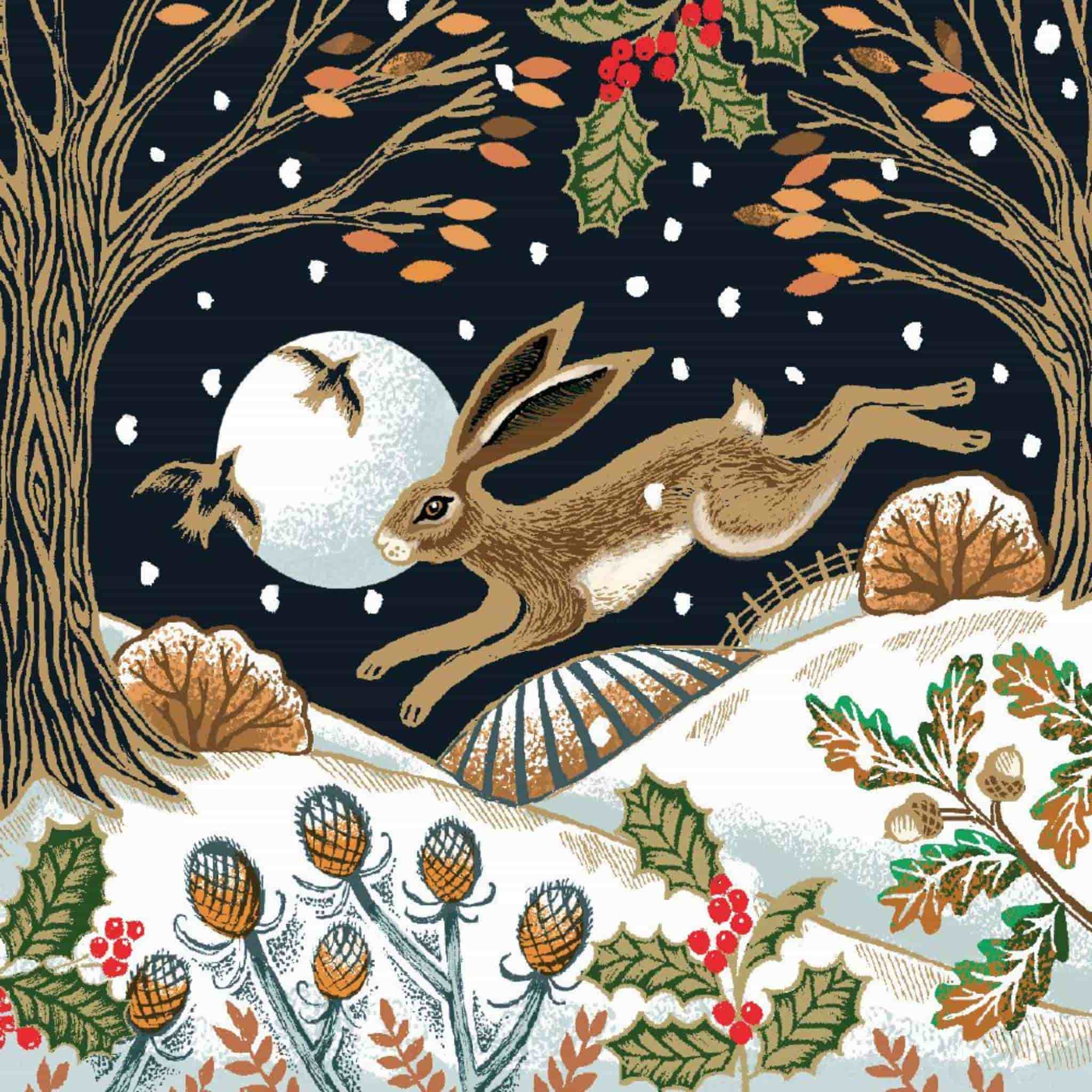 Midnight Hare & Robin | Pack of 12 Christmas Cards