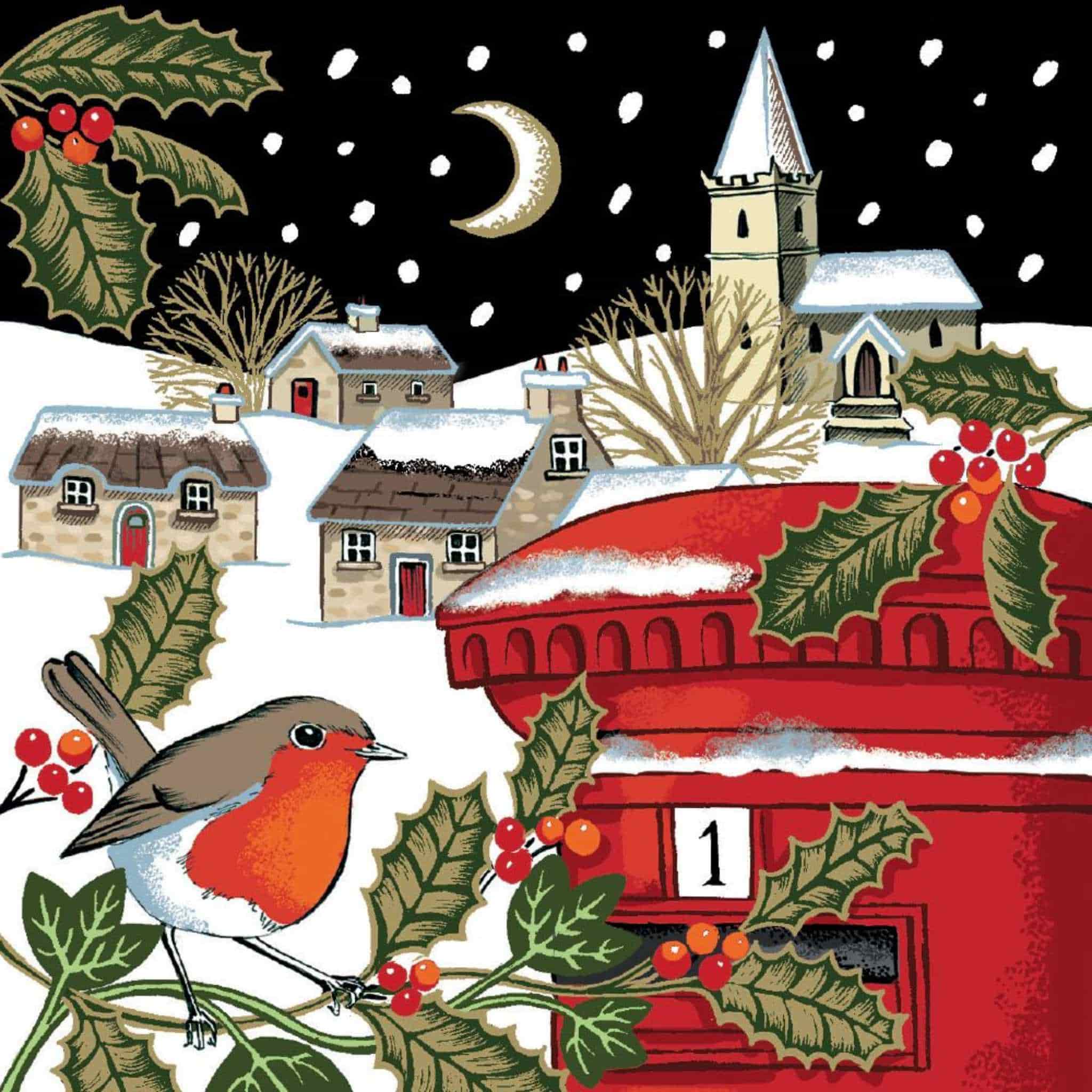 charity christmas card pack robin