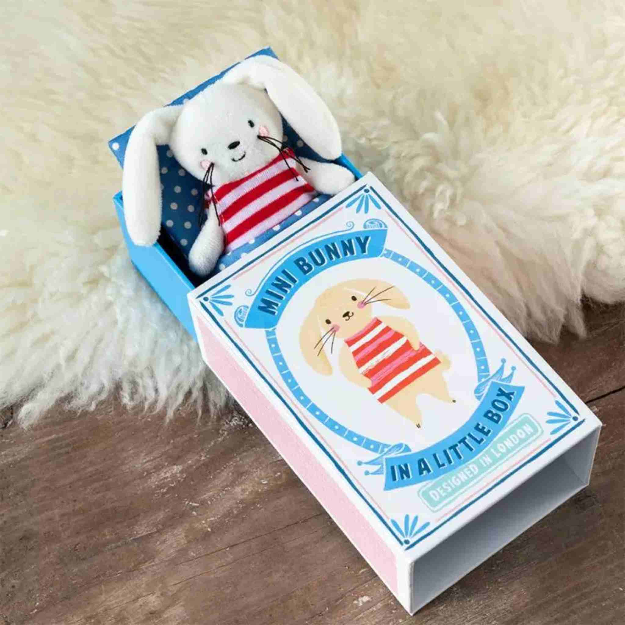 mini bunny in box