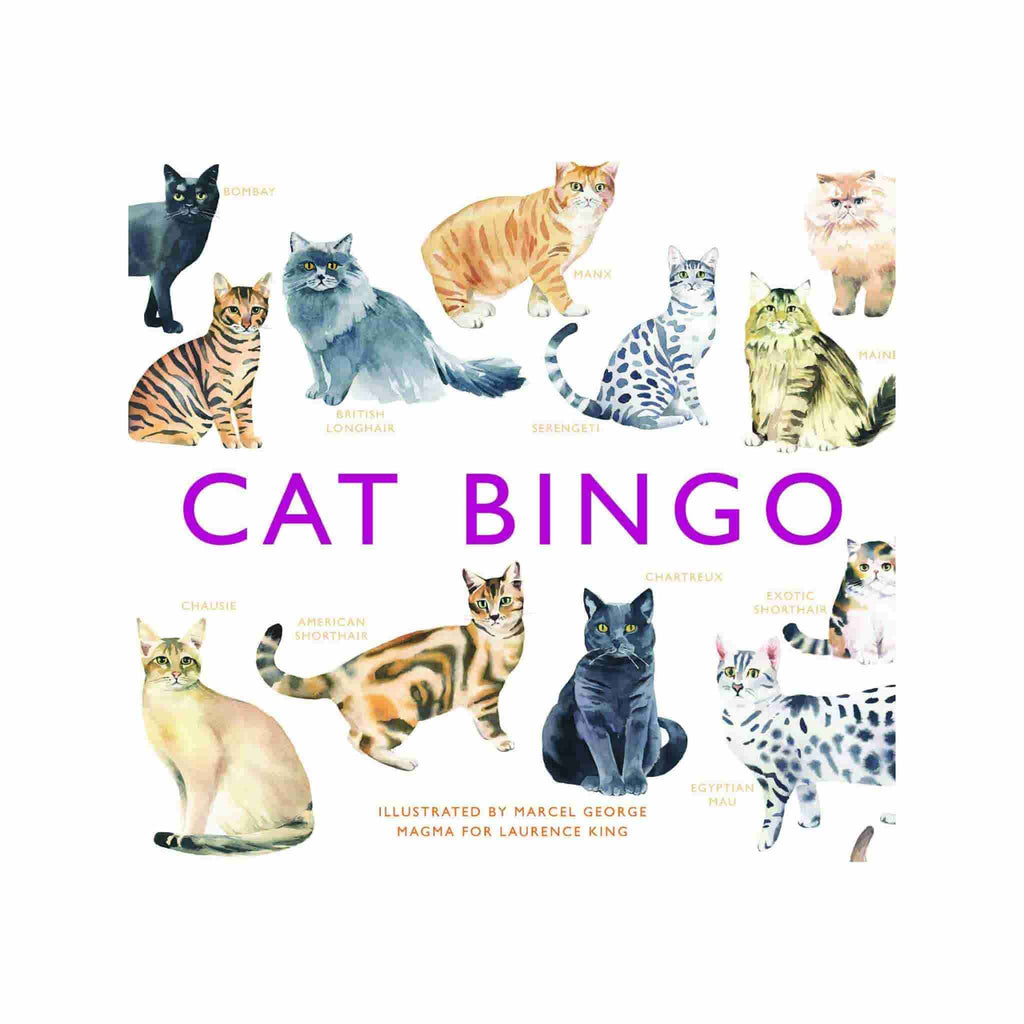 cat bingo game for children