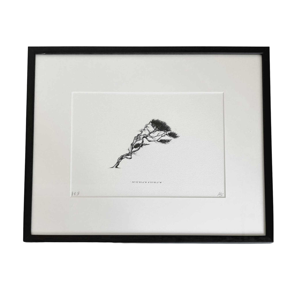 Wind Pruned Tree (Pentire Head), Framed Print