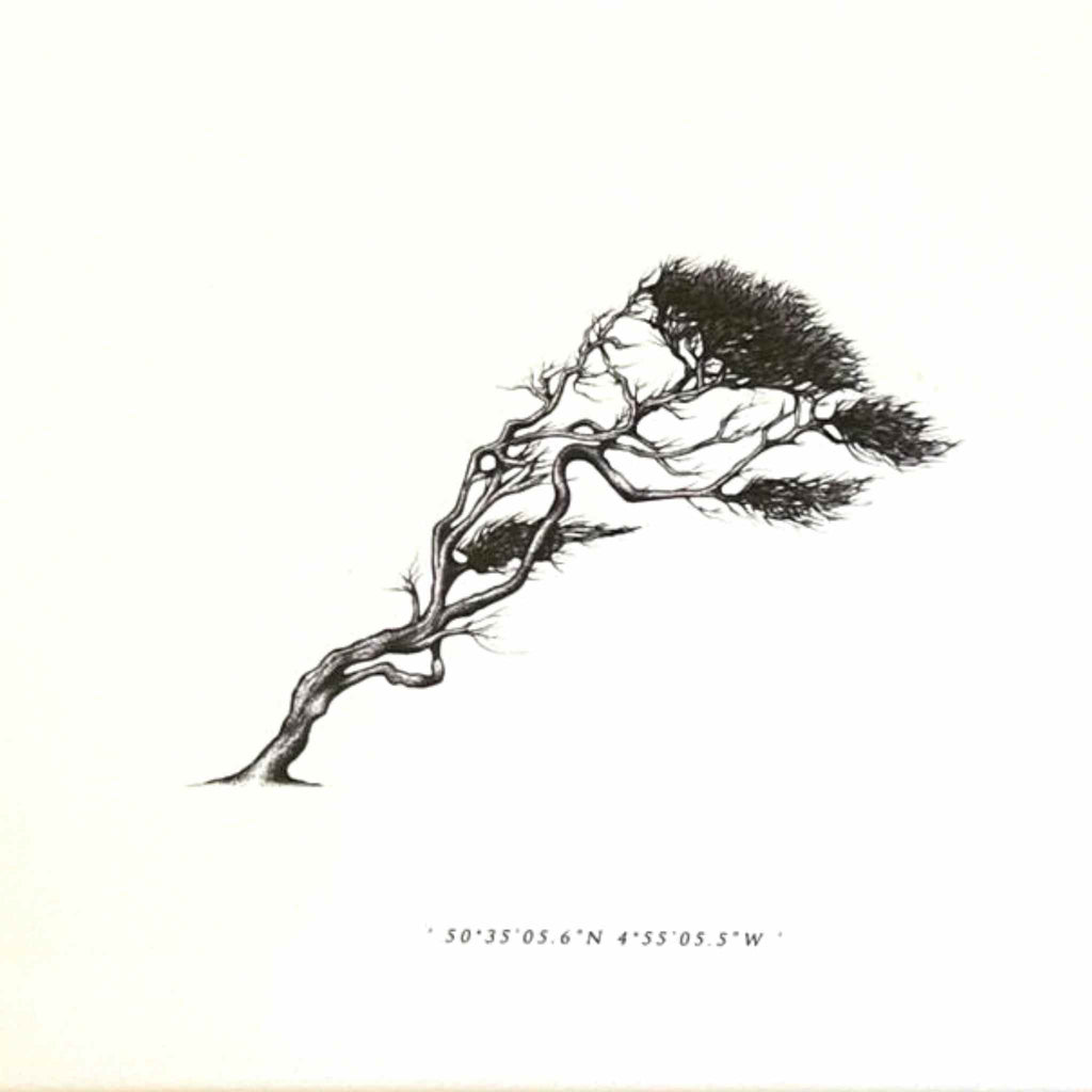 Wind Pruned Tree (Pentire Head), Framed Print